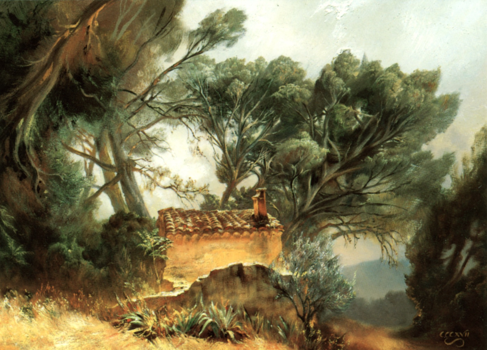 “Midday Light under Pine Trees”