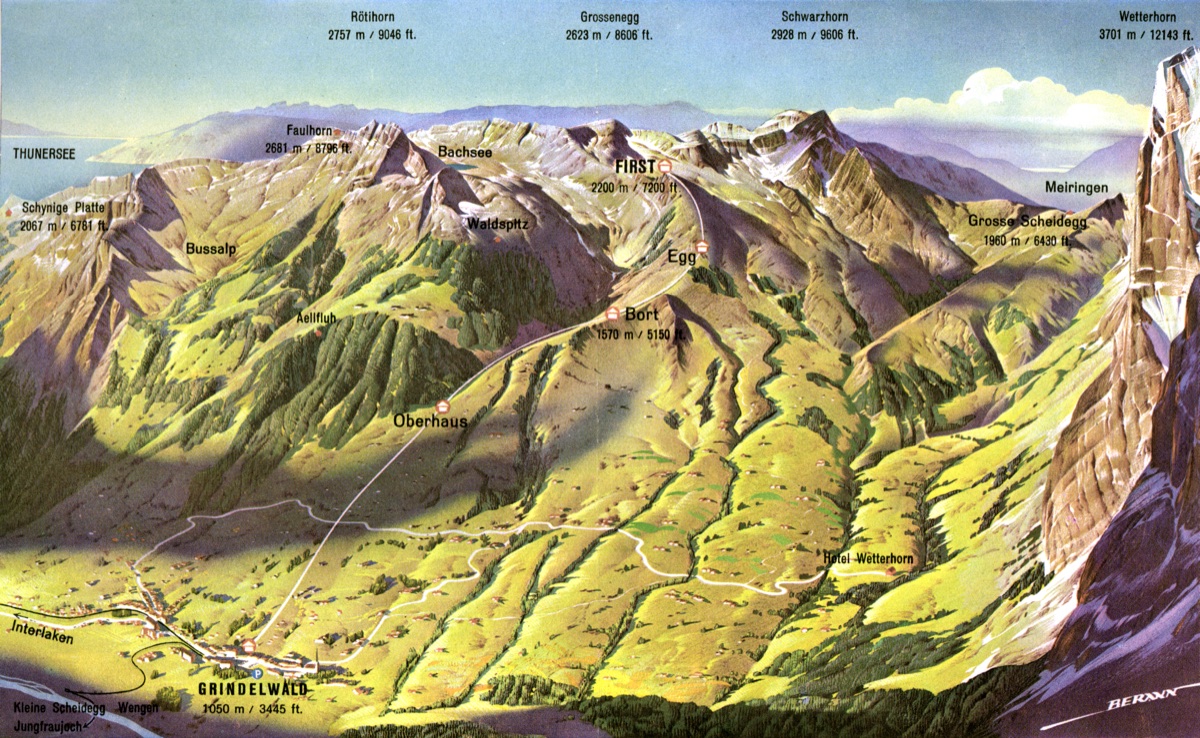 Grindelwald, Firstbahn,  Summer