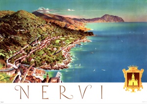 Nervi