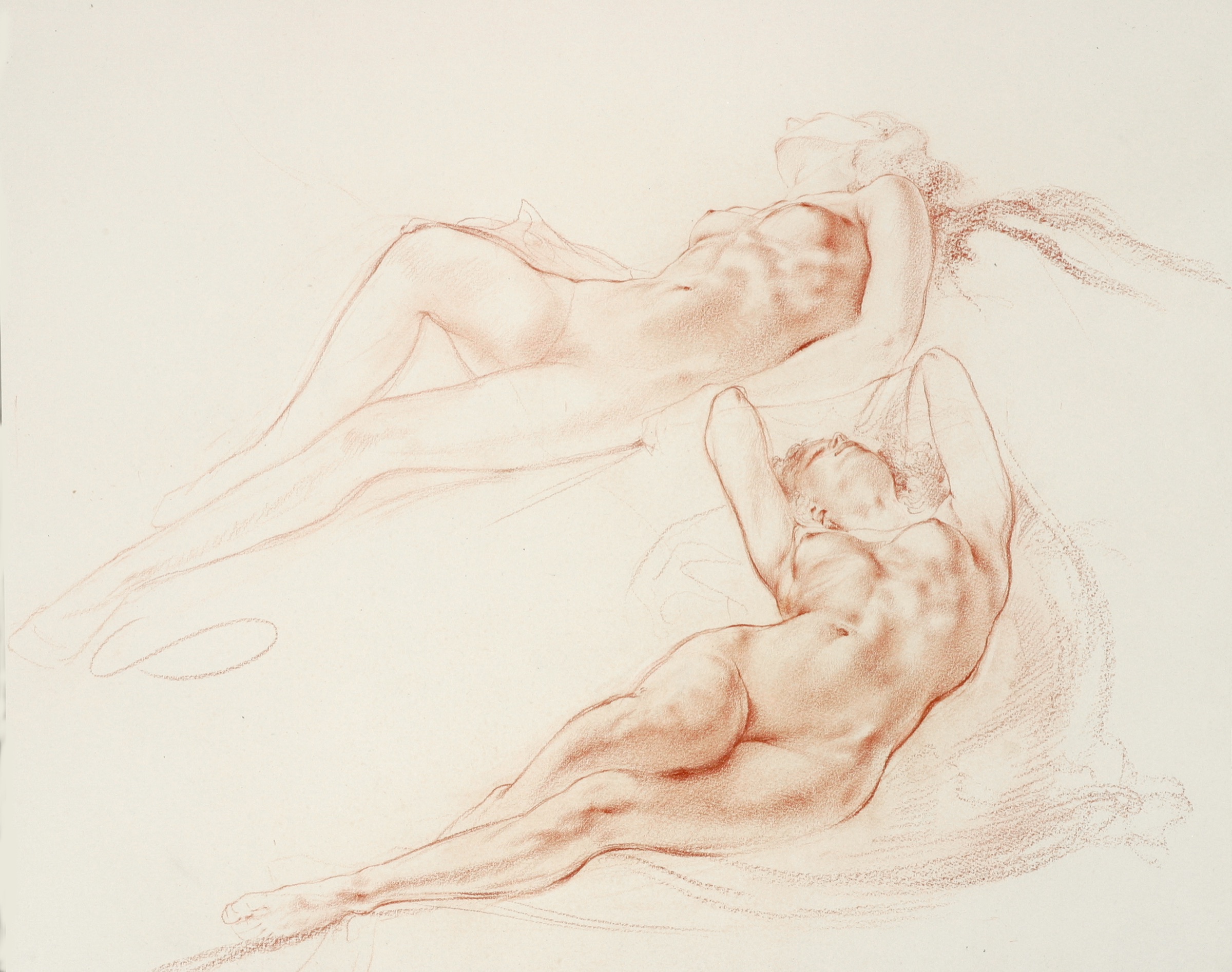 Lilly, ruhend