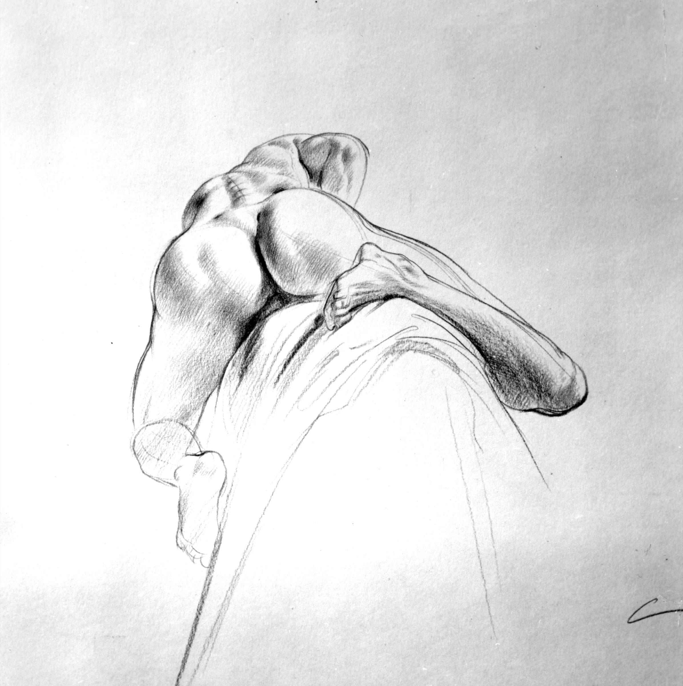 Aktstudie