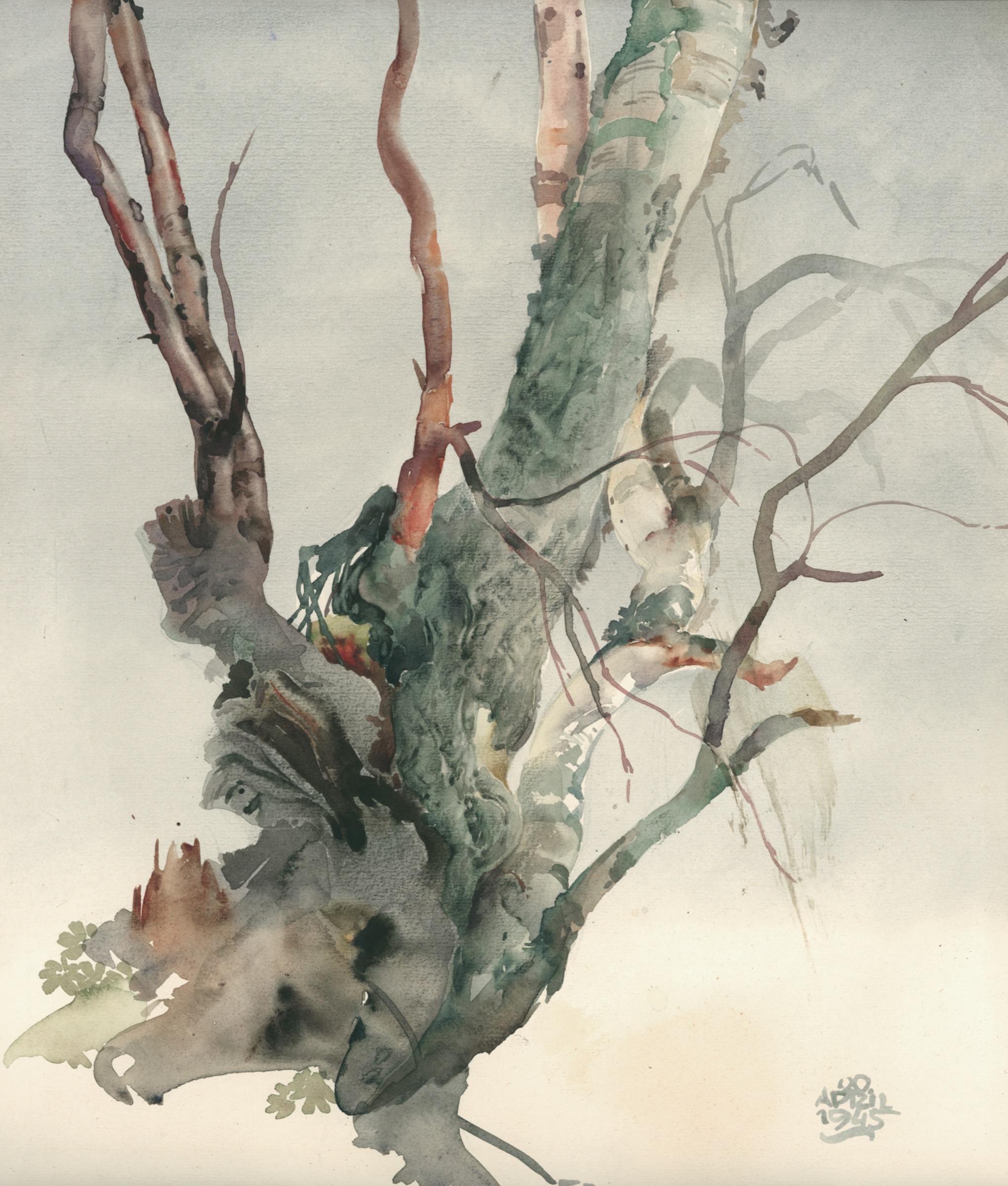 Birch in the Tundra