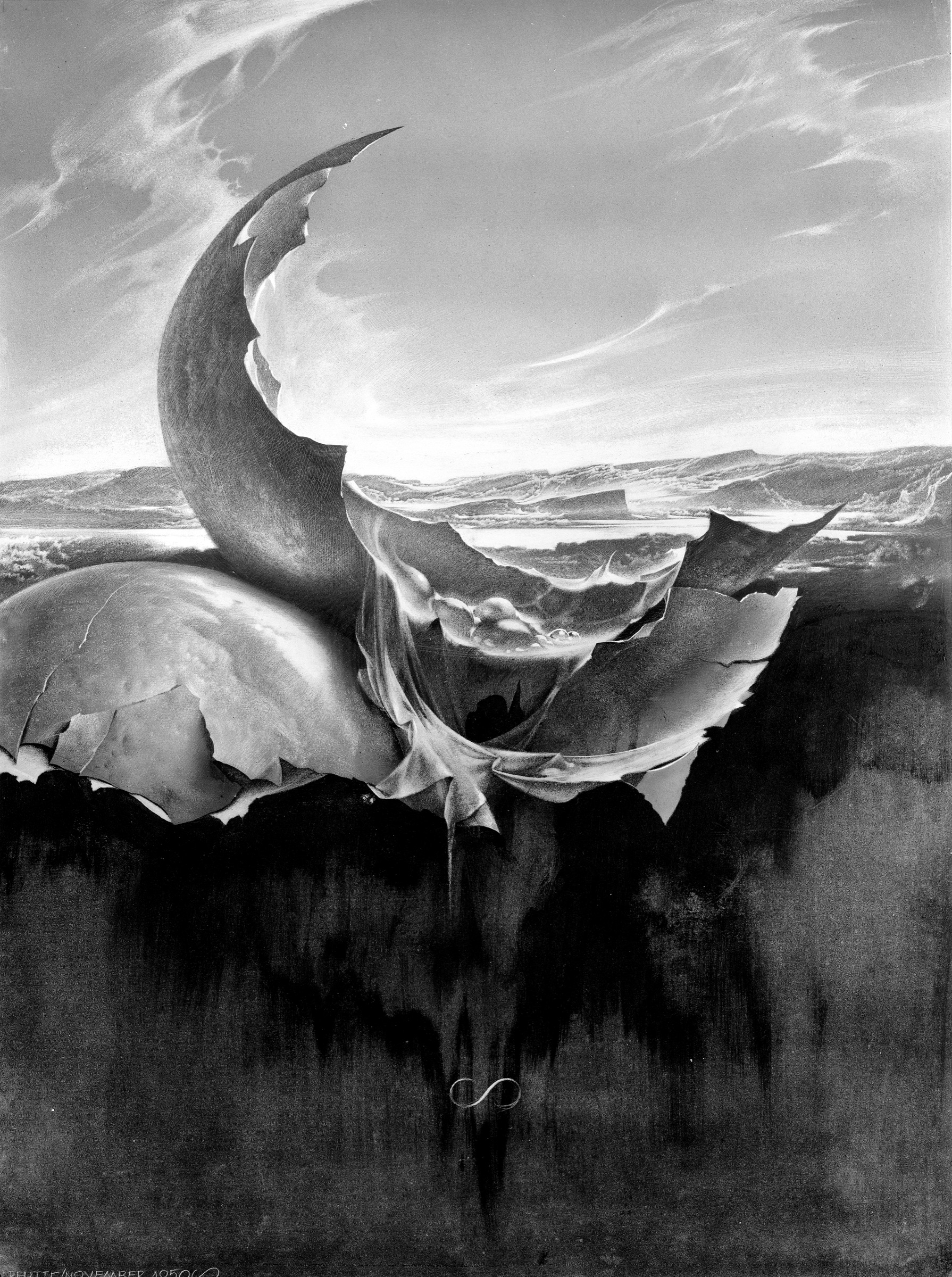 The Primordial Egg