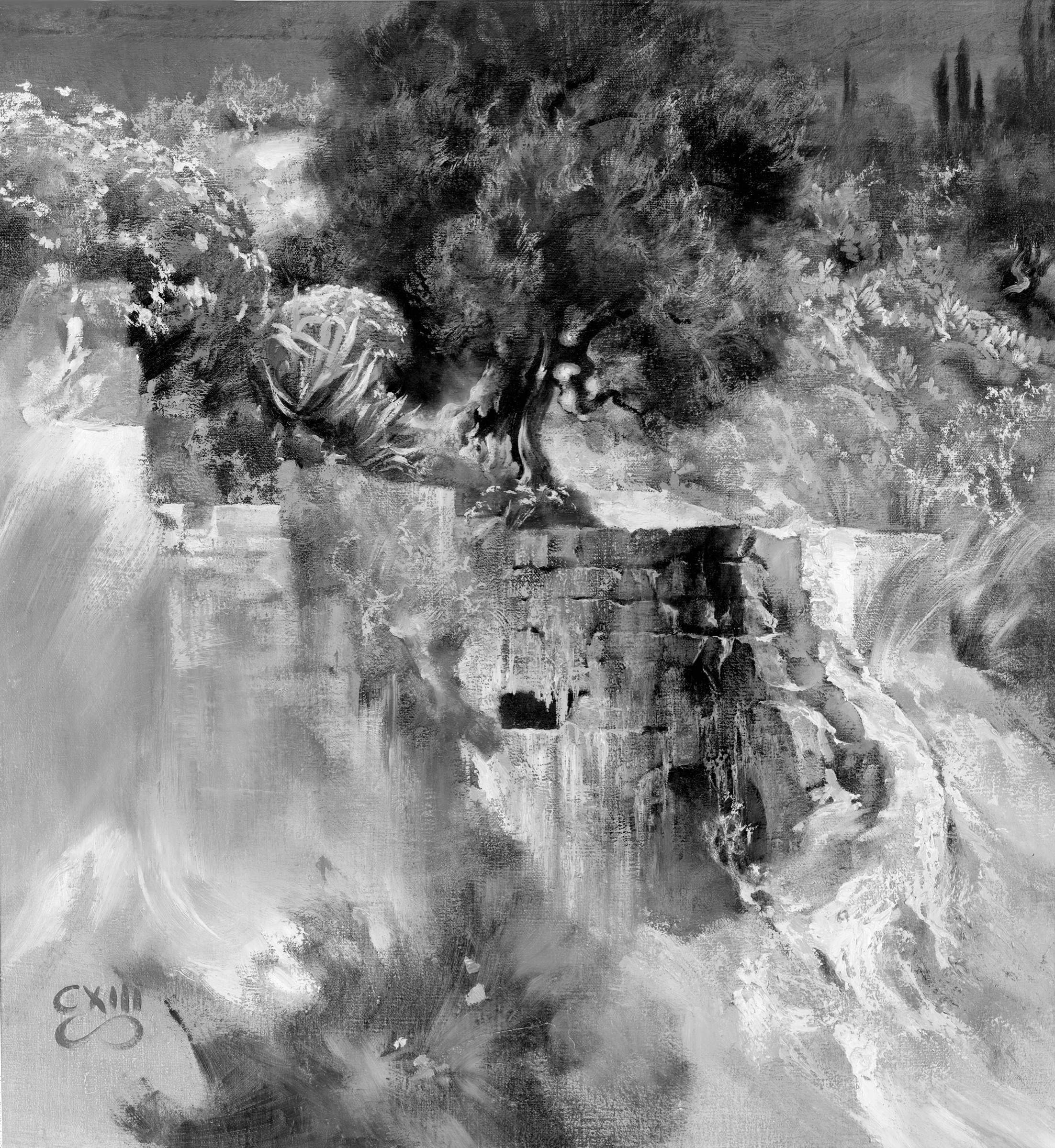 Olive Tree near Taormina