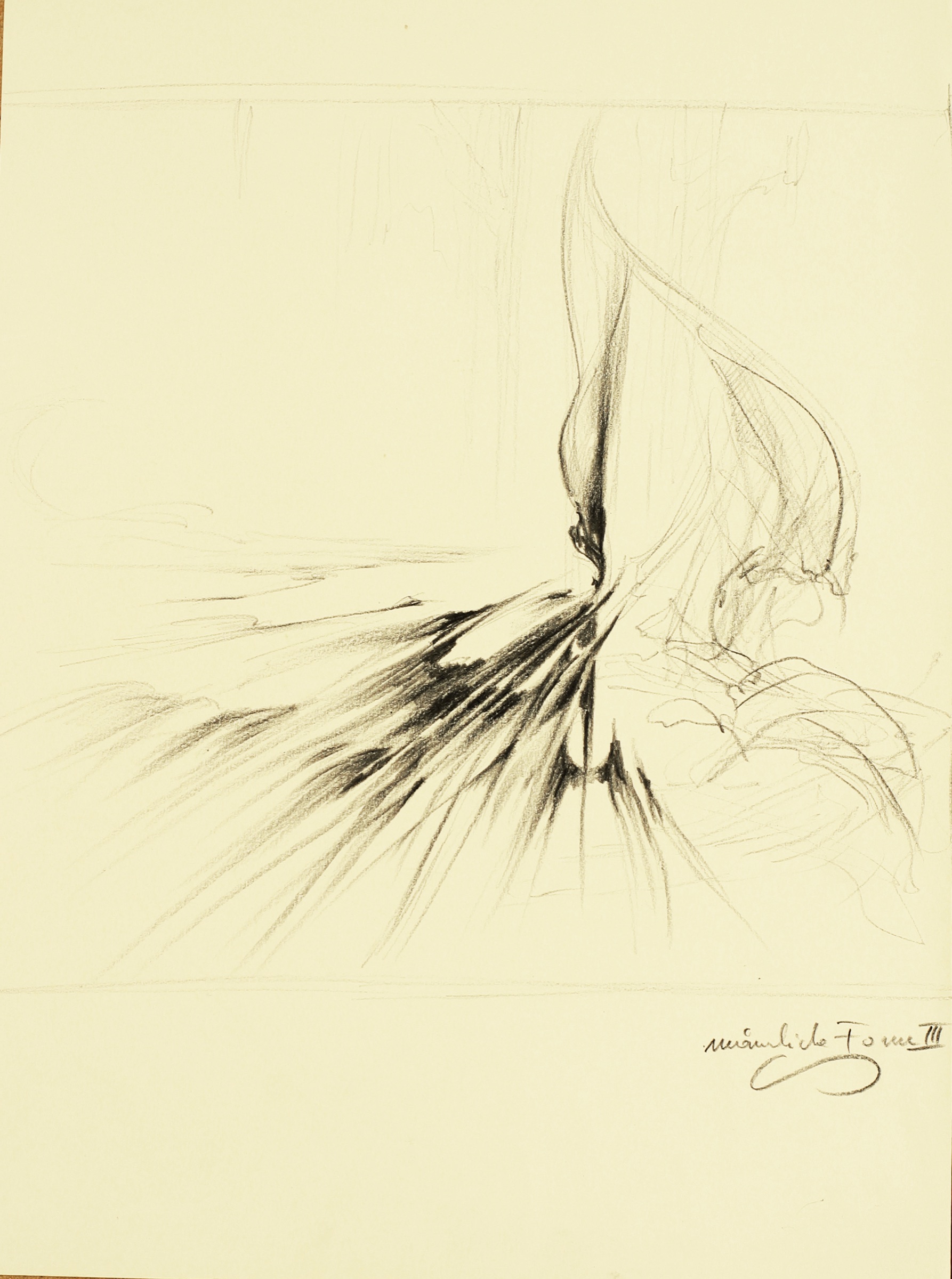 Männliche Form III
