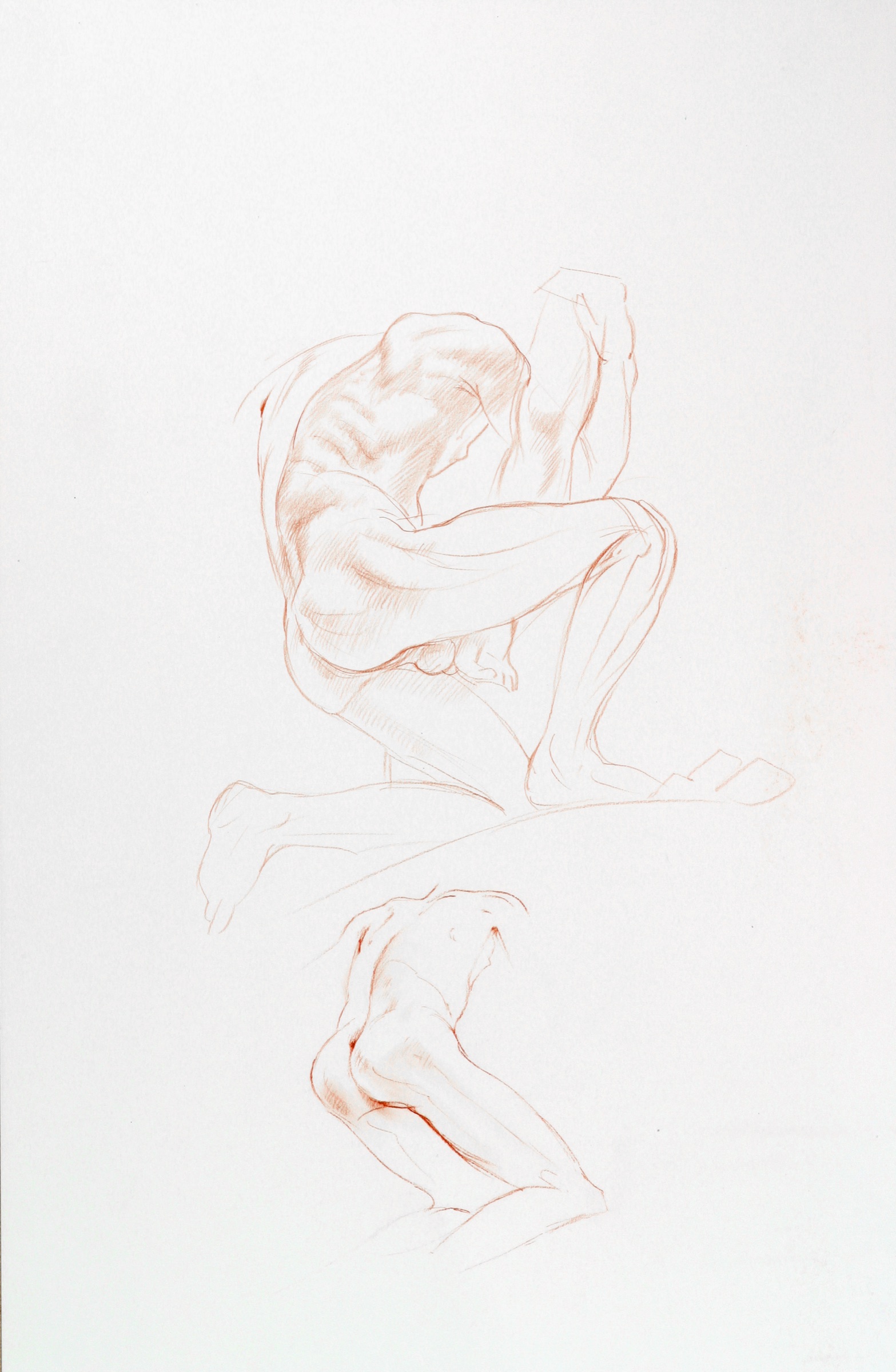 Männlicher Torso