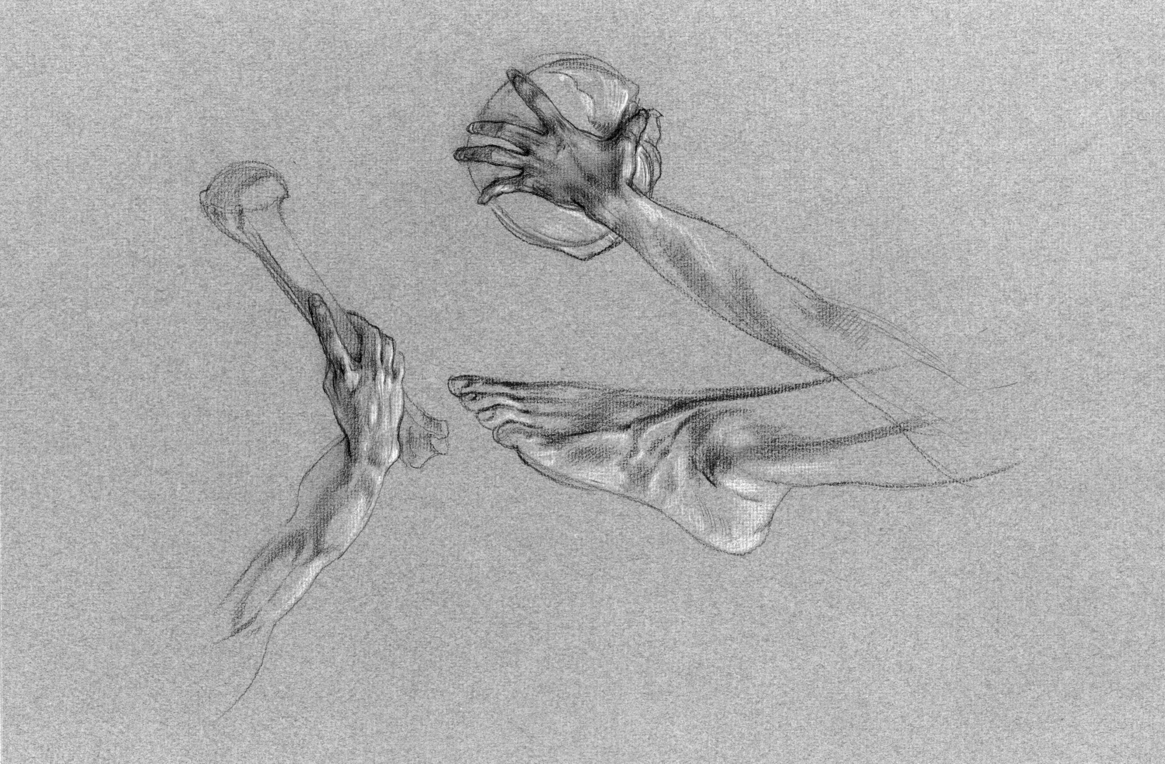 Studies of Hands and Feet