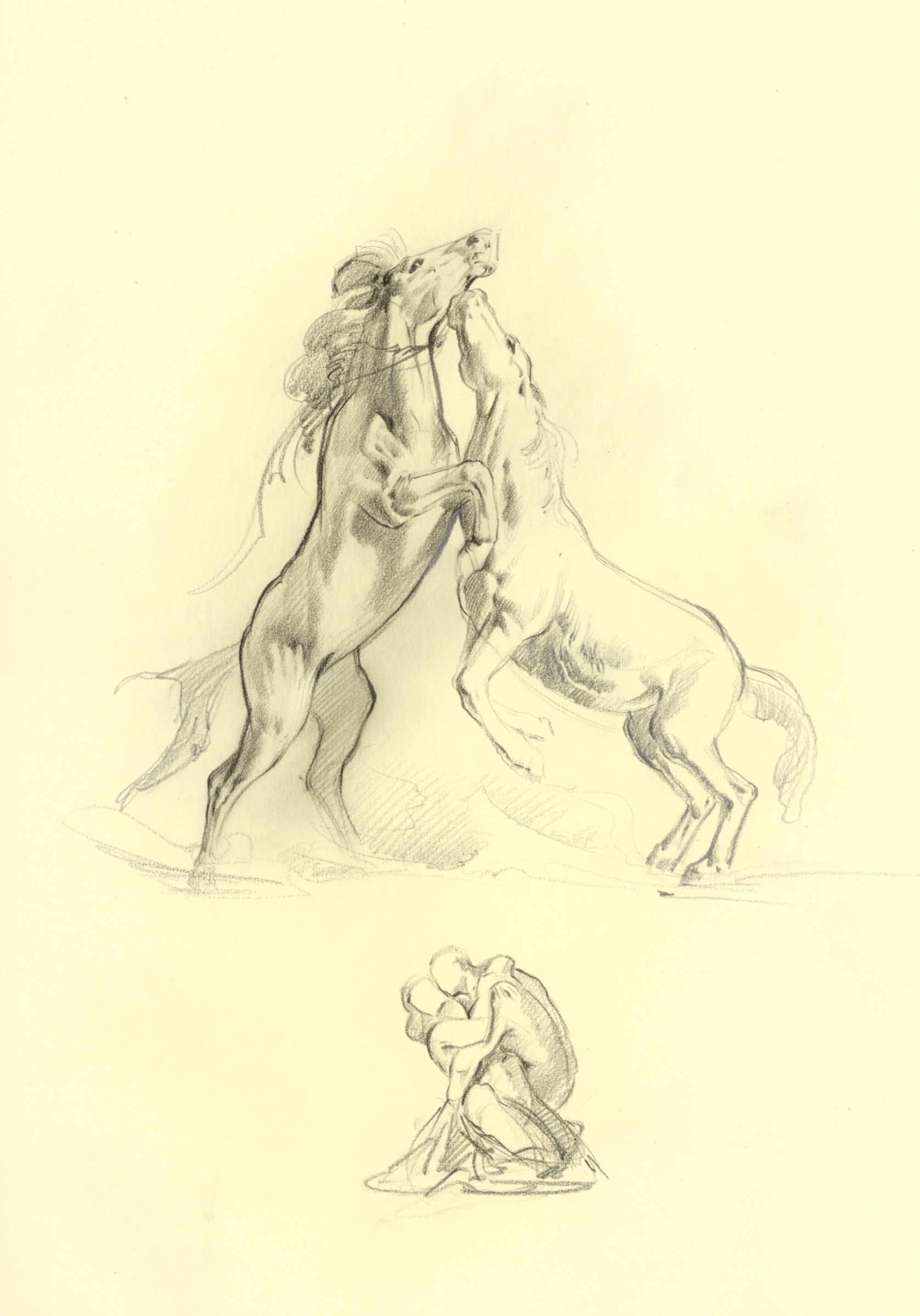 Horse and Human Couple