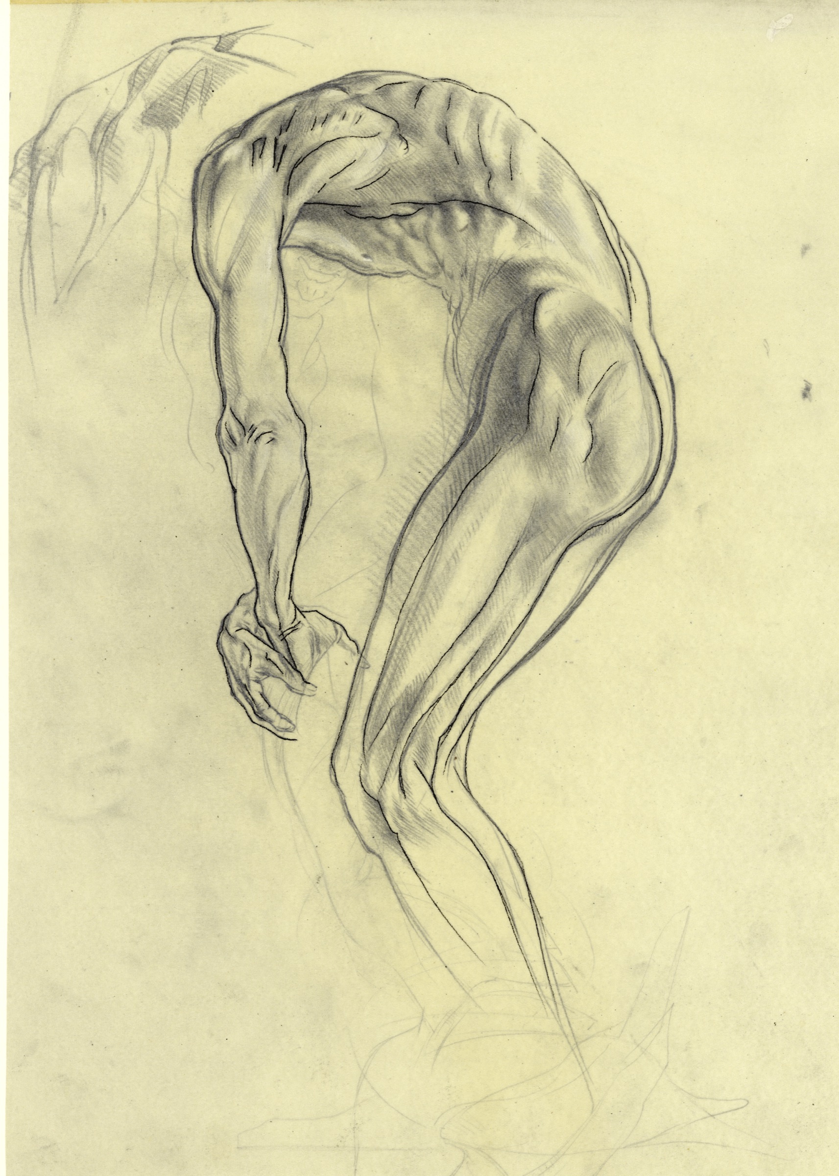 Gebeugter
