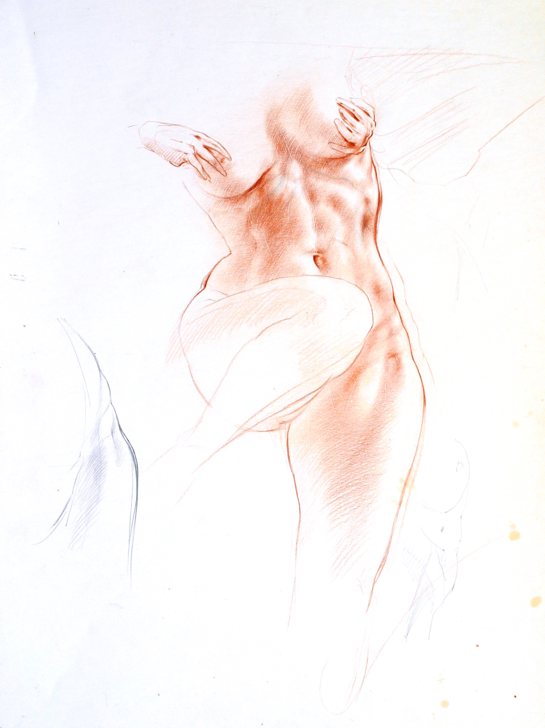 Weiblicher Torso