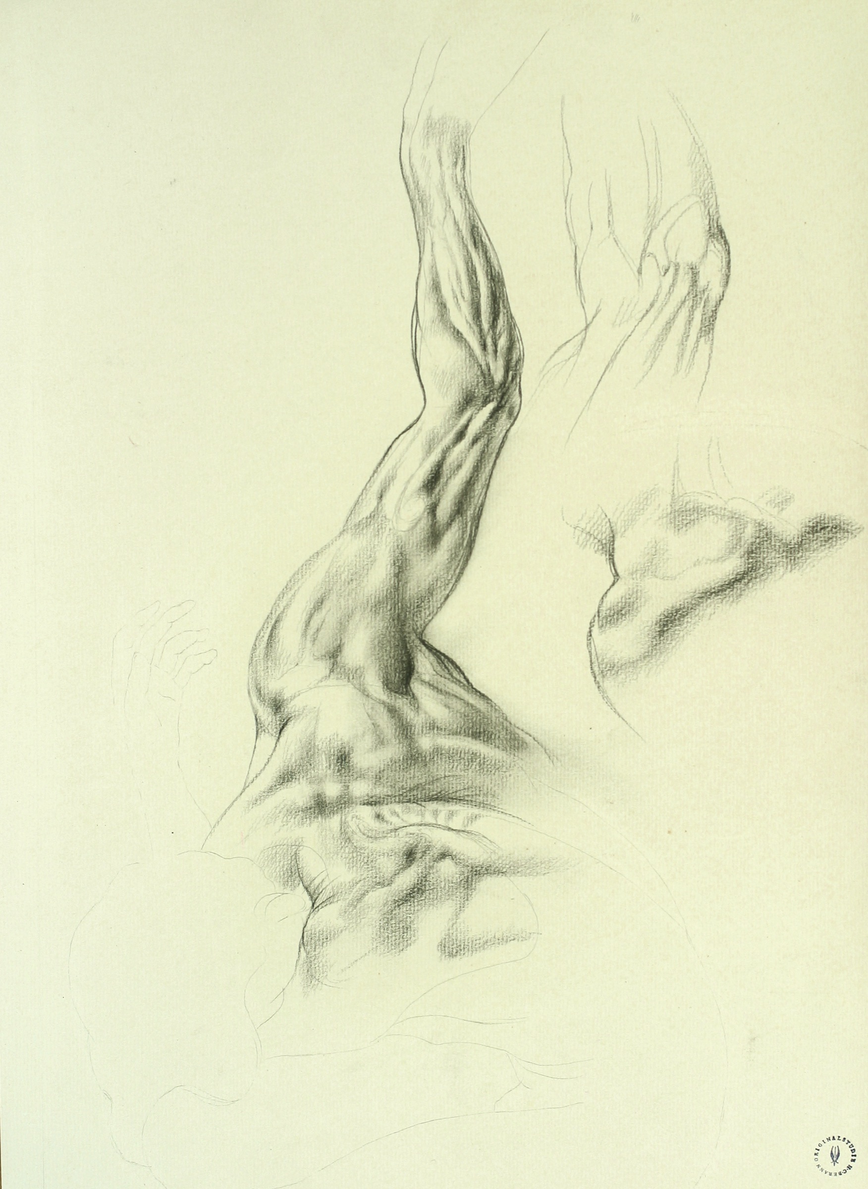 Back-Shoulder-Arm Study