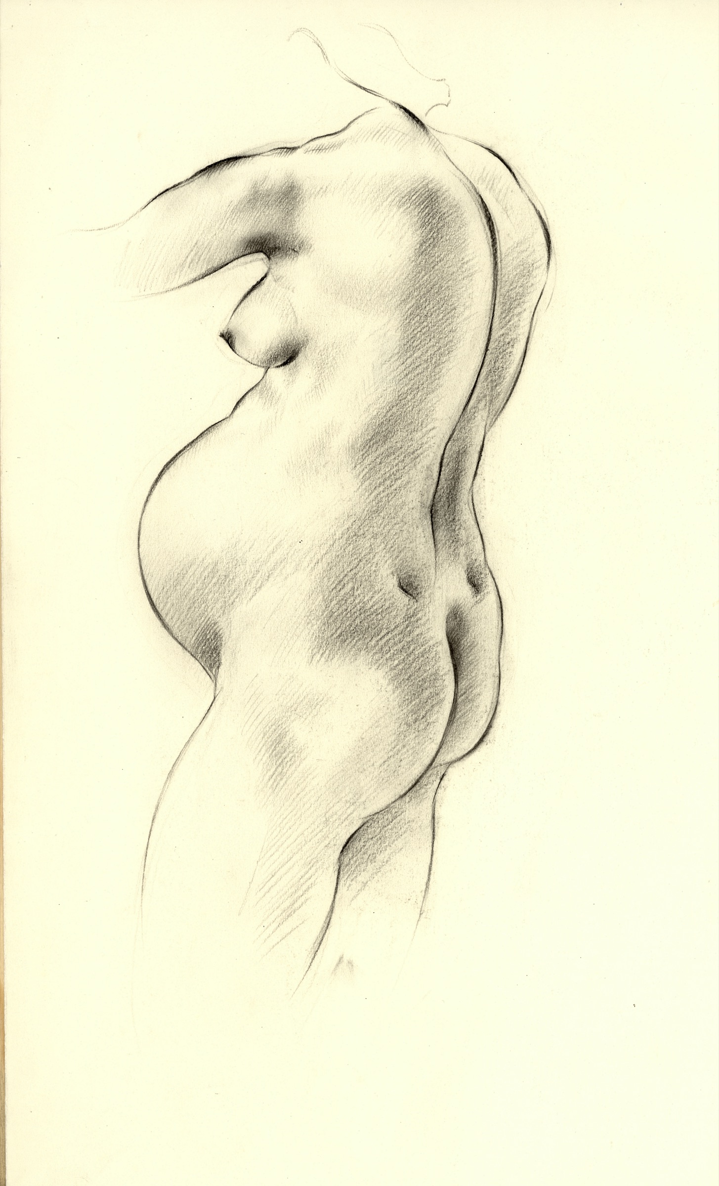 Lilly, hochschwanger