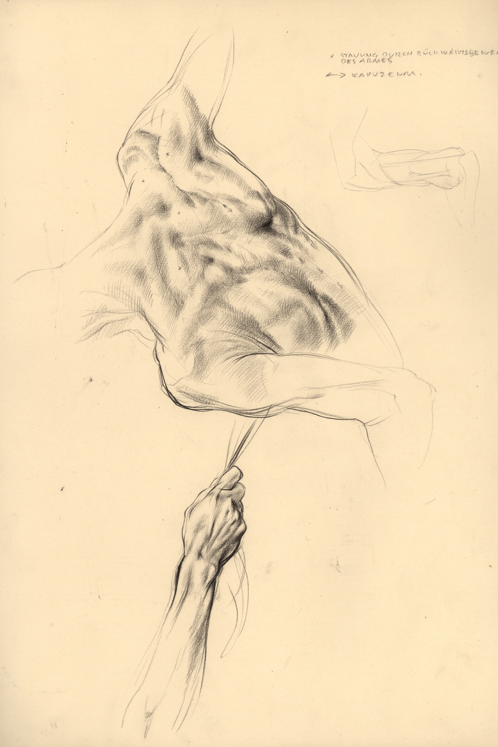 Parzen Cloth: Back Nude and Arm
