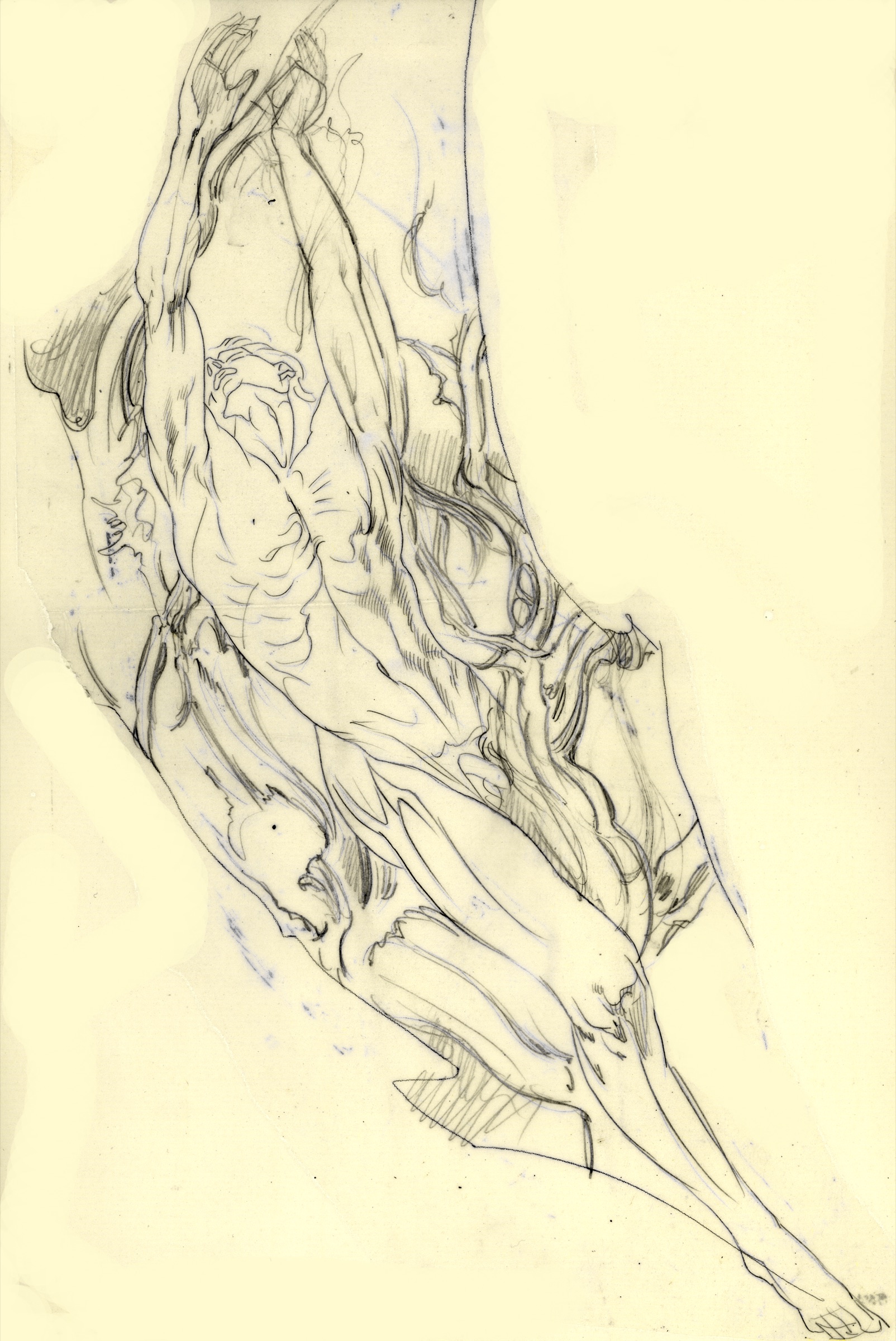 Rising from the Root Tangle