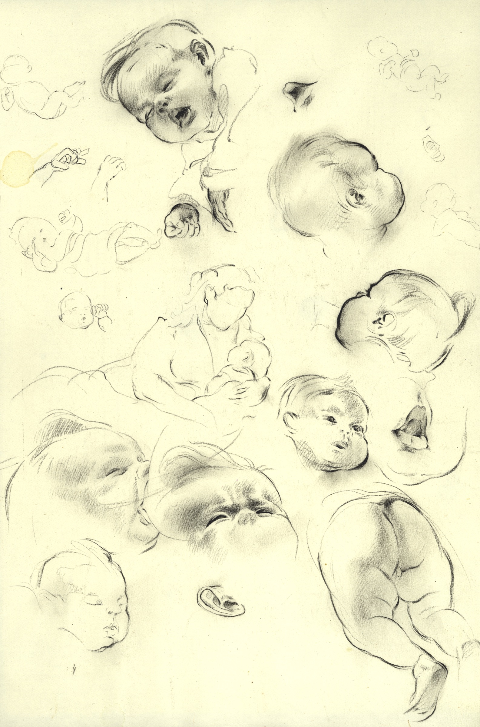Babystudien Lisa