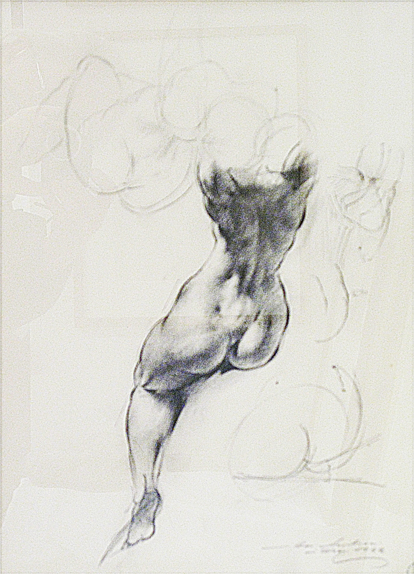 weiblicher Torso, Rückenansicht