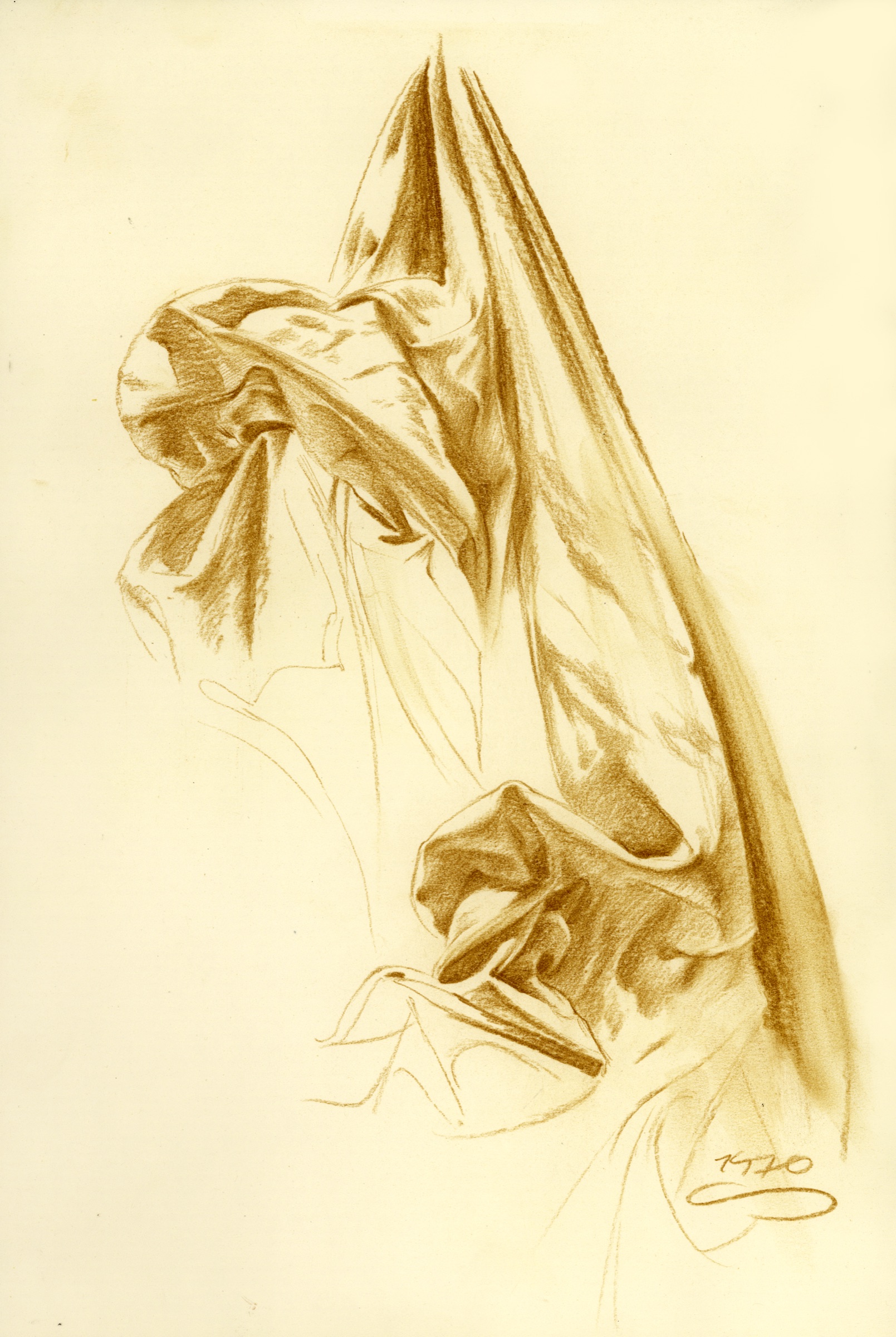 Faltenwurf im Tuch, 2