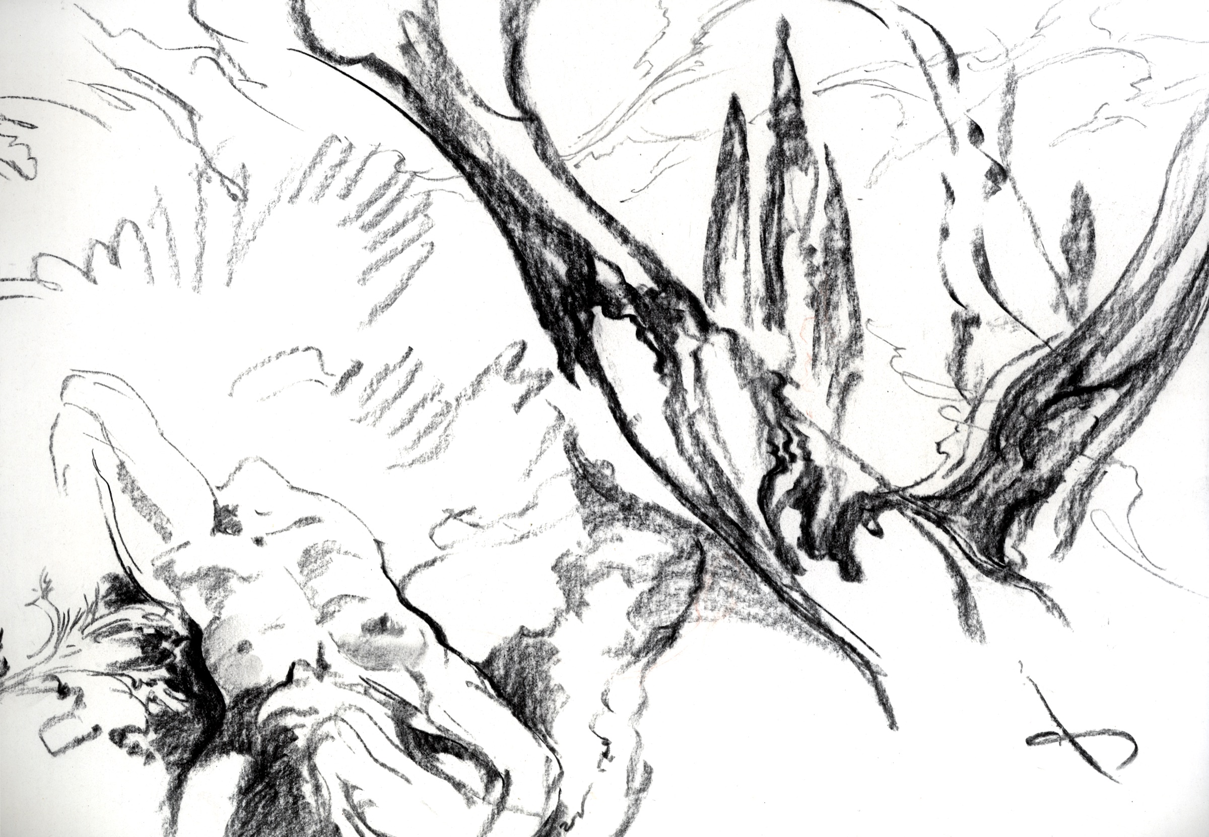 Woman under Trees