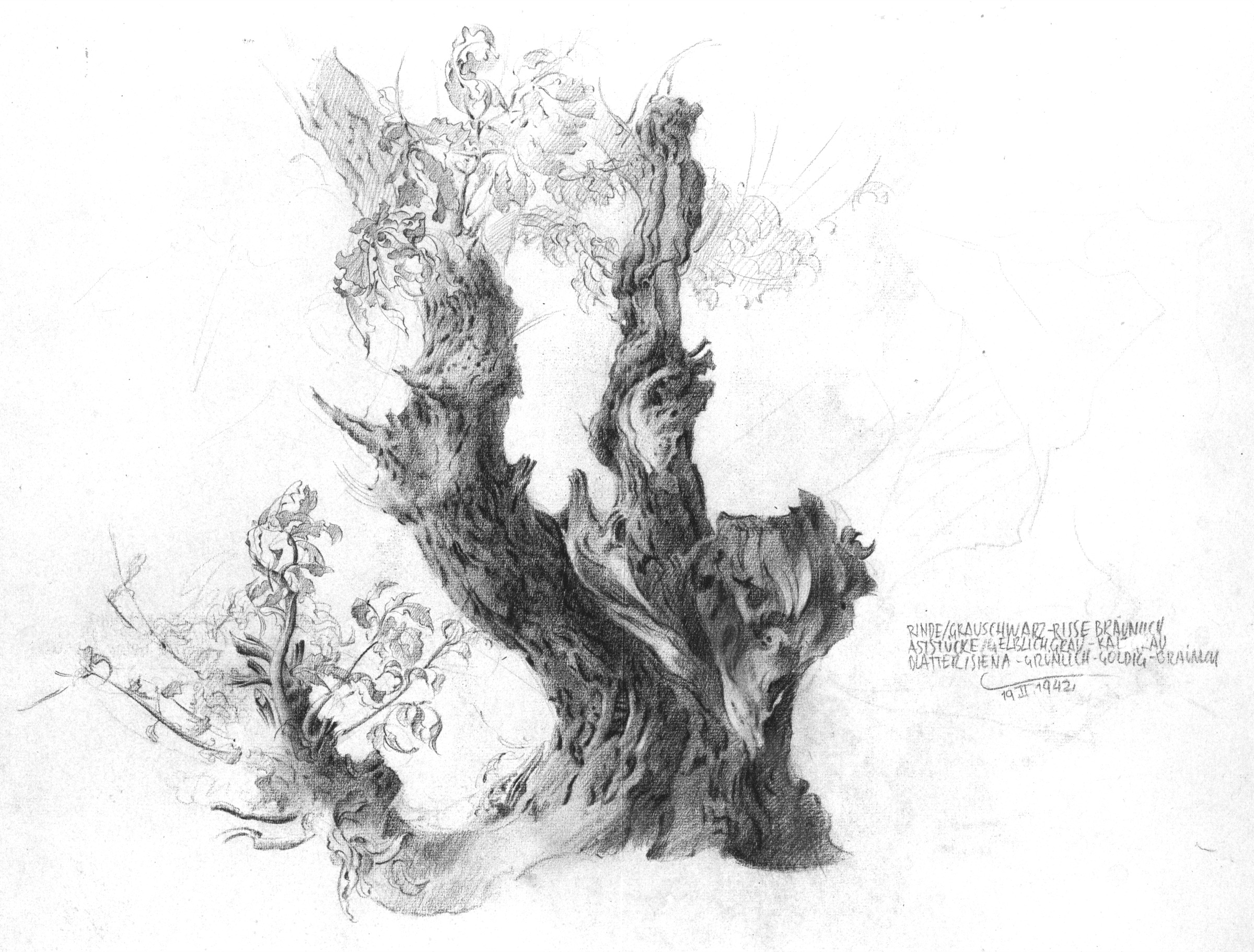 Oaks near Landeck
