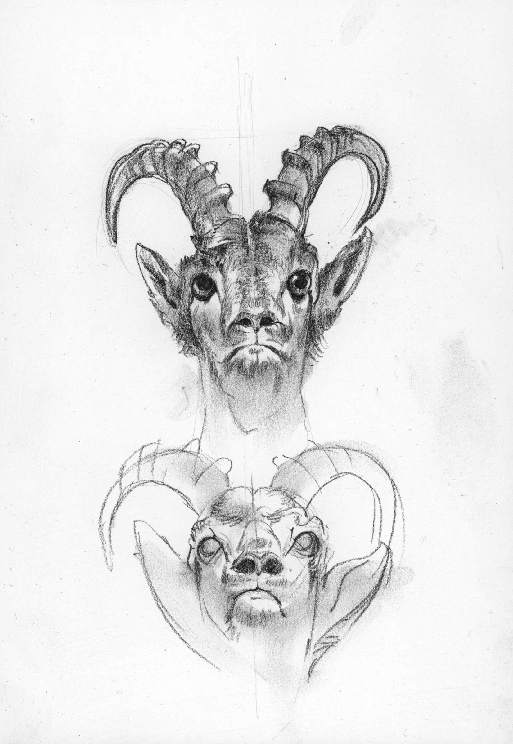 Steinbock