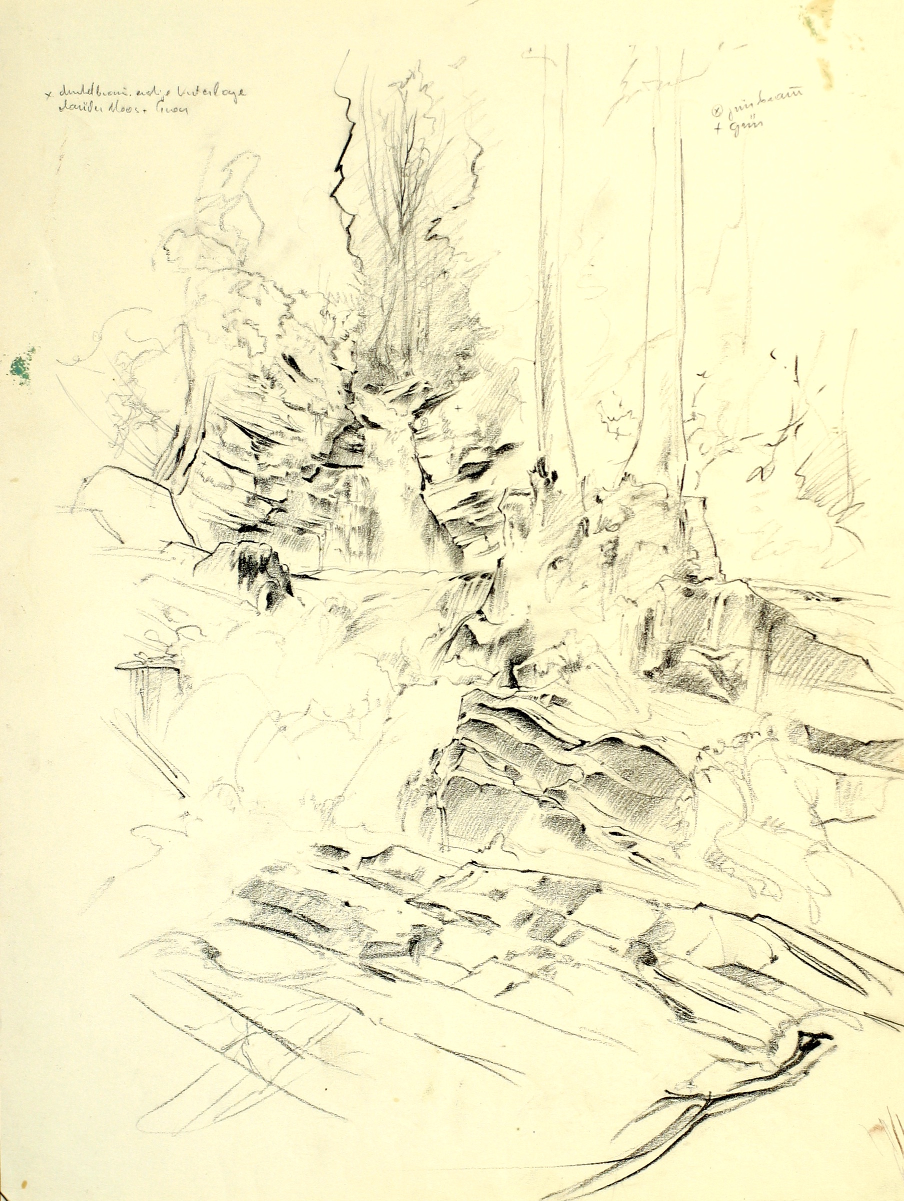 Wasserstudie, Waldbach zwischen Felsen
