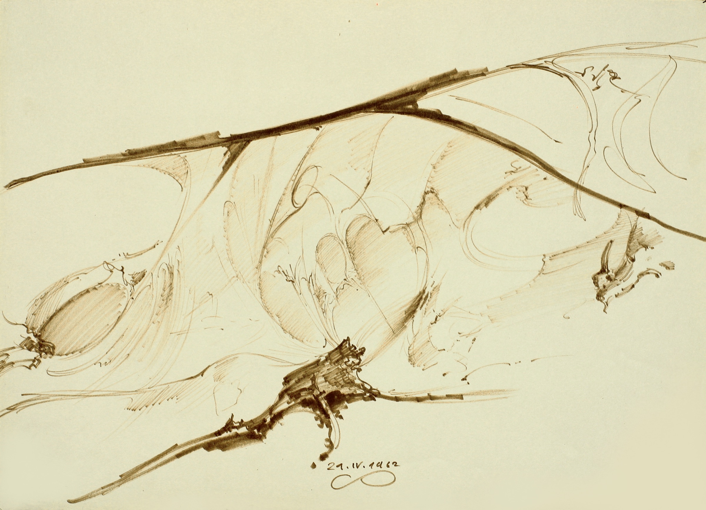 Branch Study