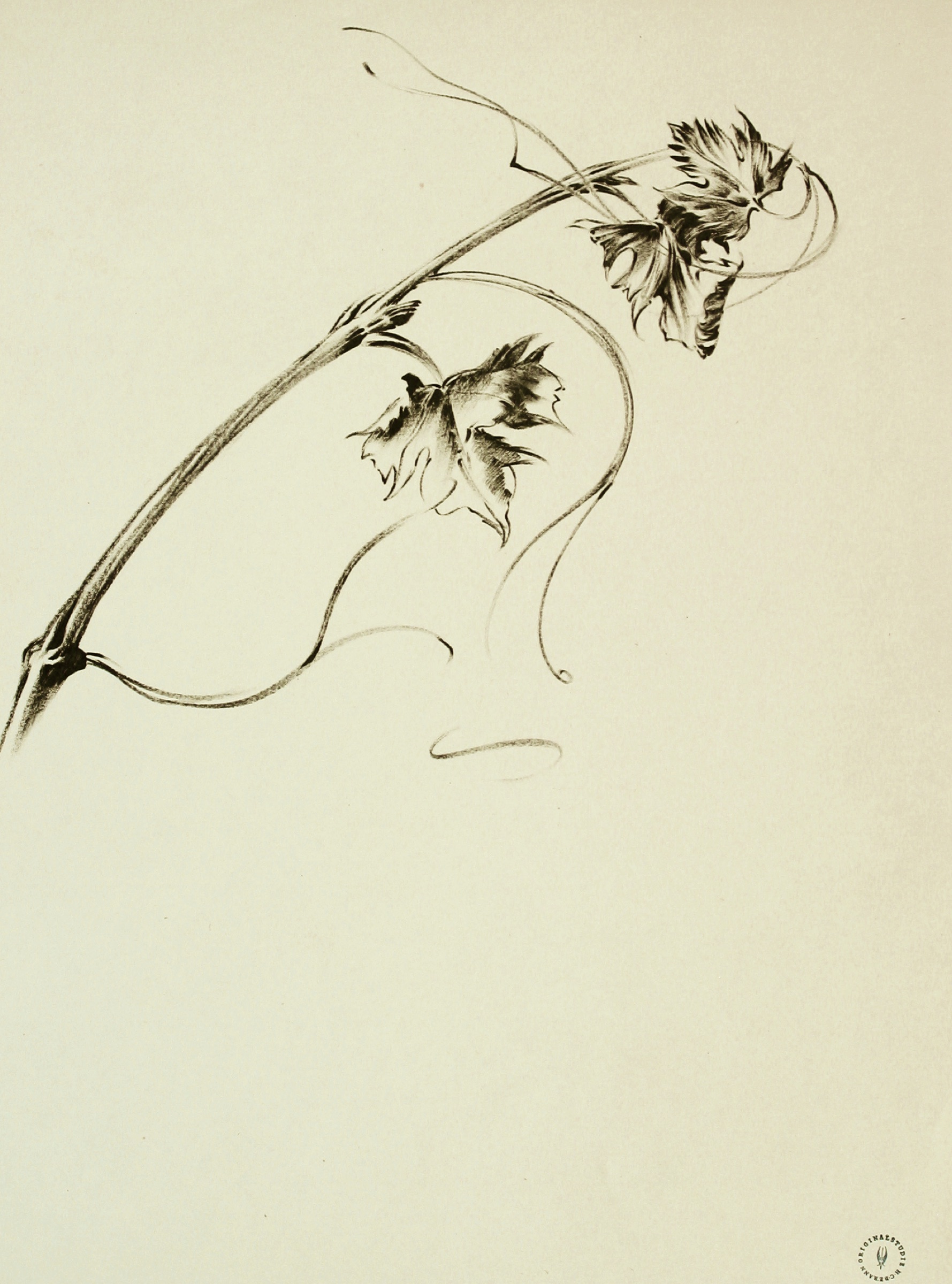 Vine with Leaves