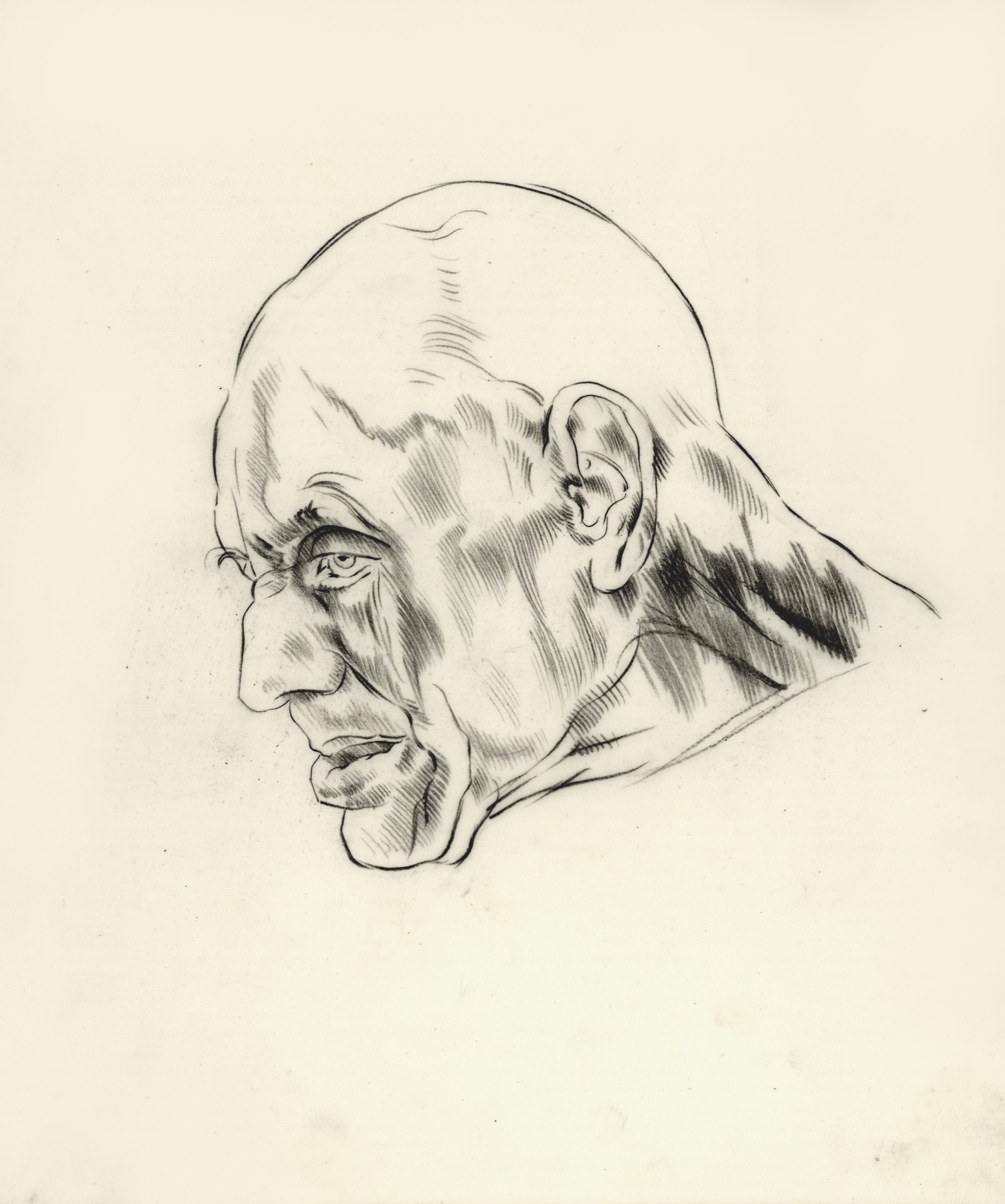 Male Head for “Ostracism”