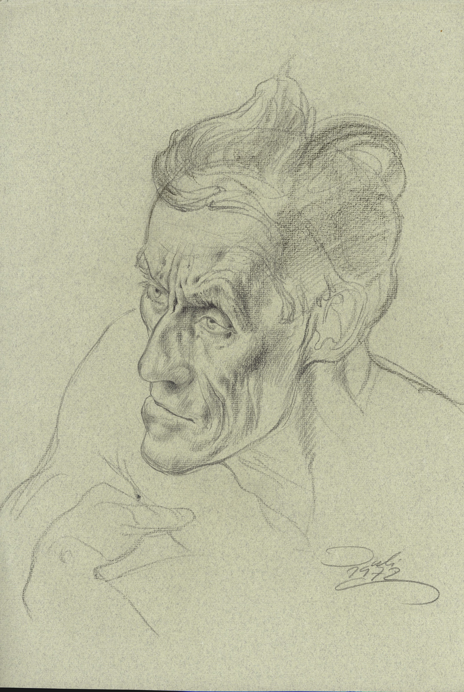 Portrait of a Farmer, without Hat