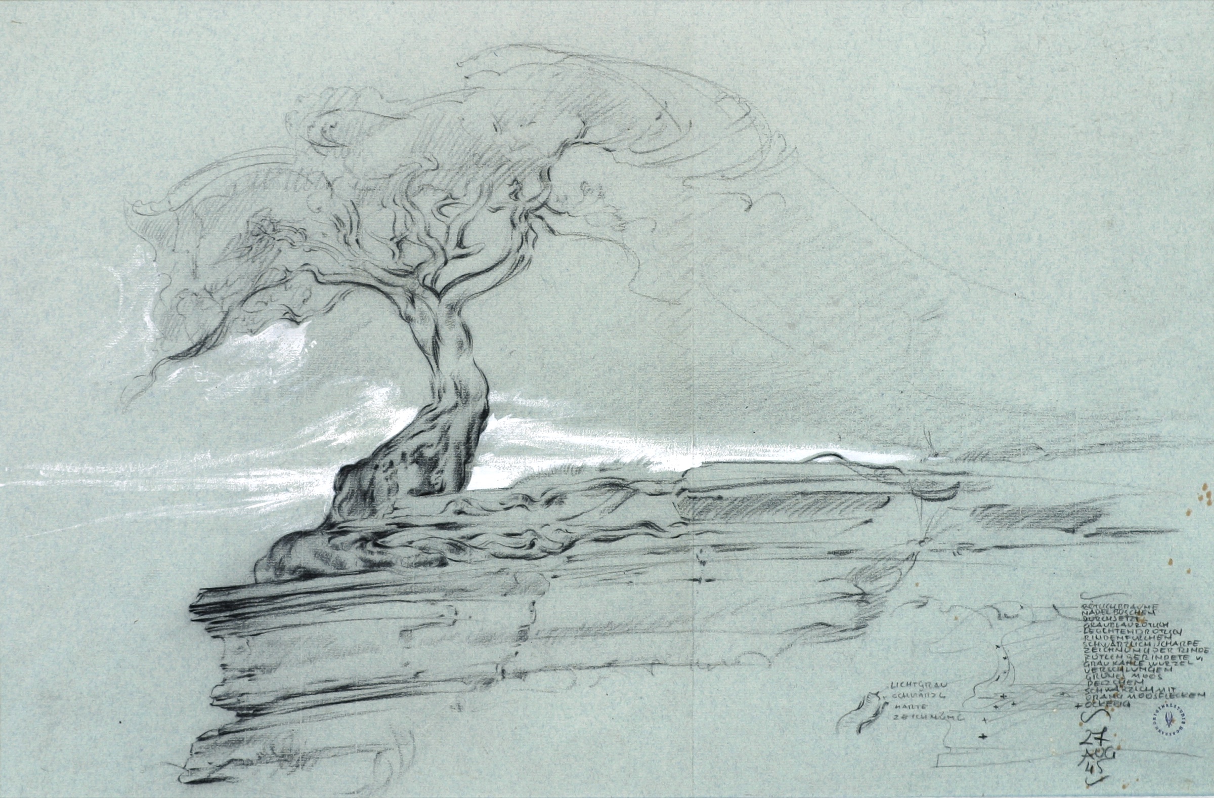 Nordischer Baum