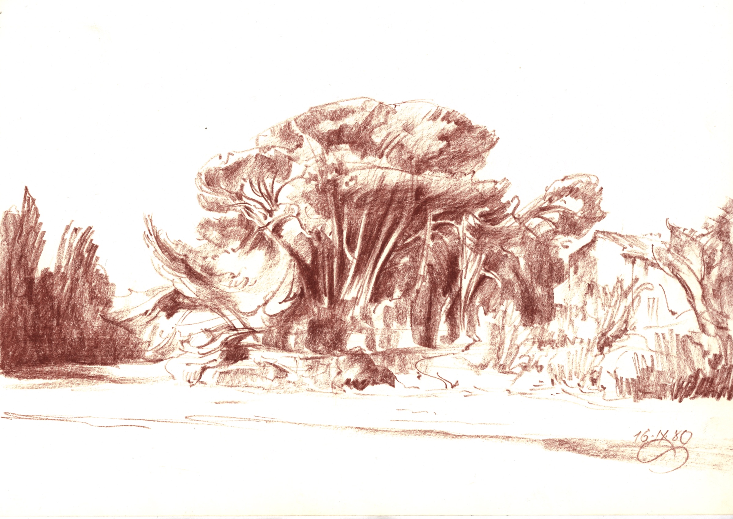 Ceyreste, Group of Trees nearby