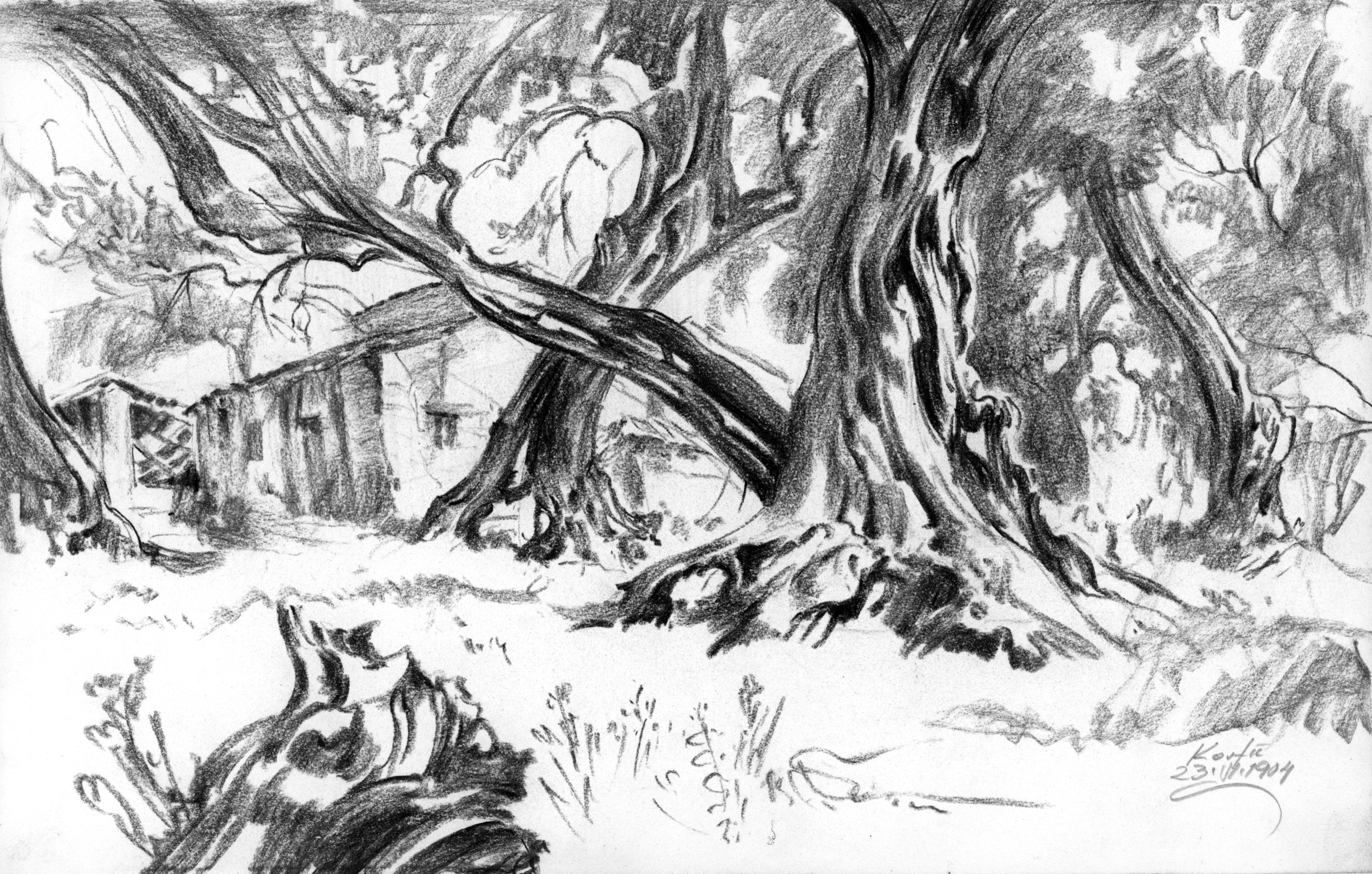 House under Trees