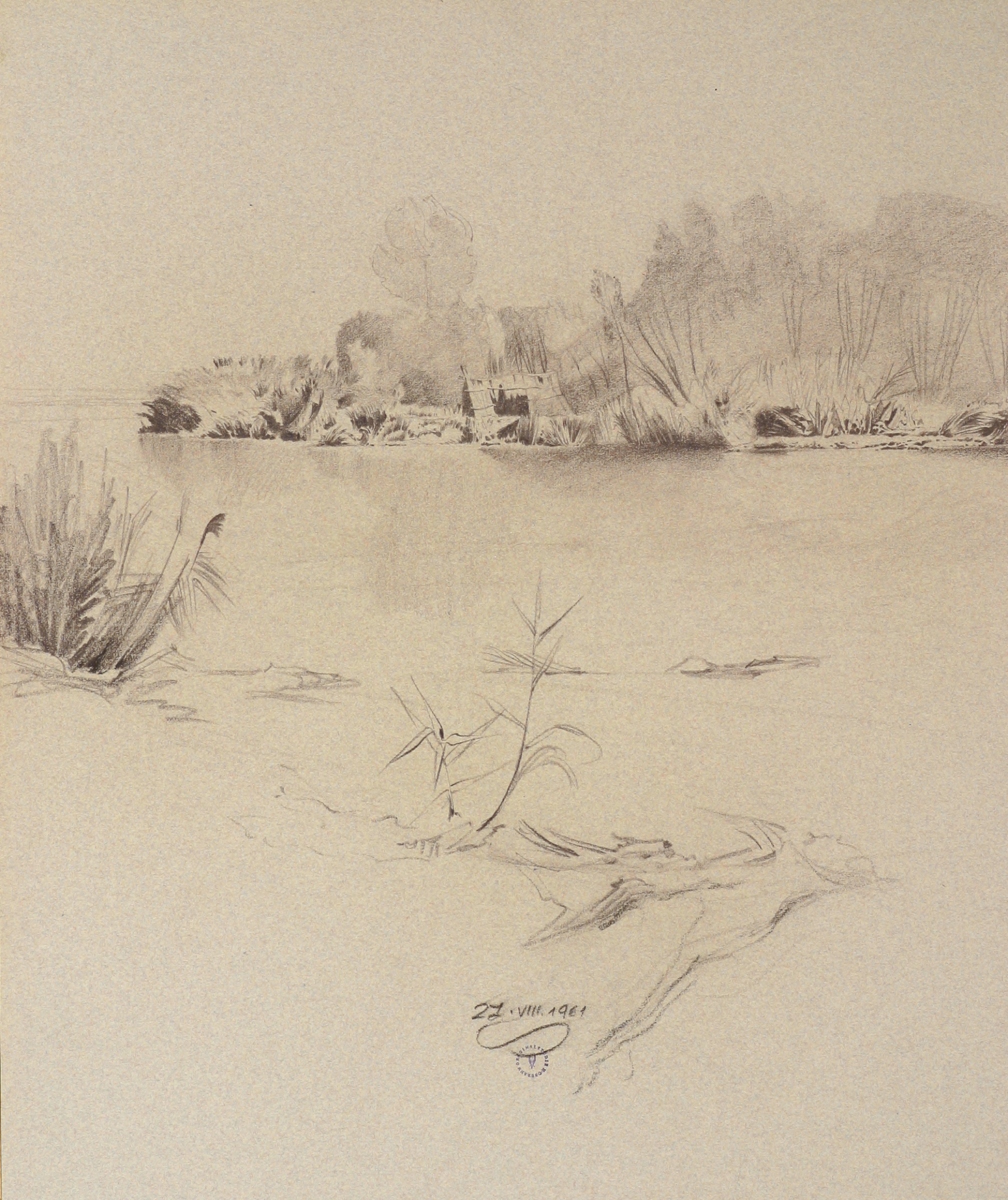 Aulandschaft