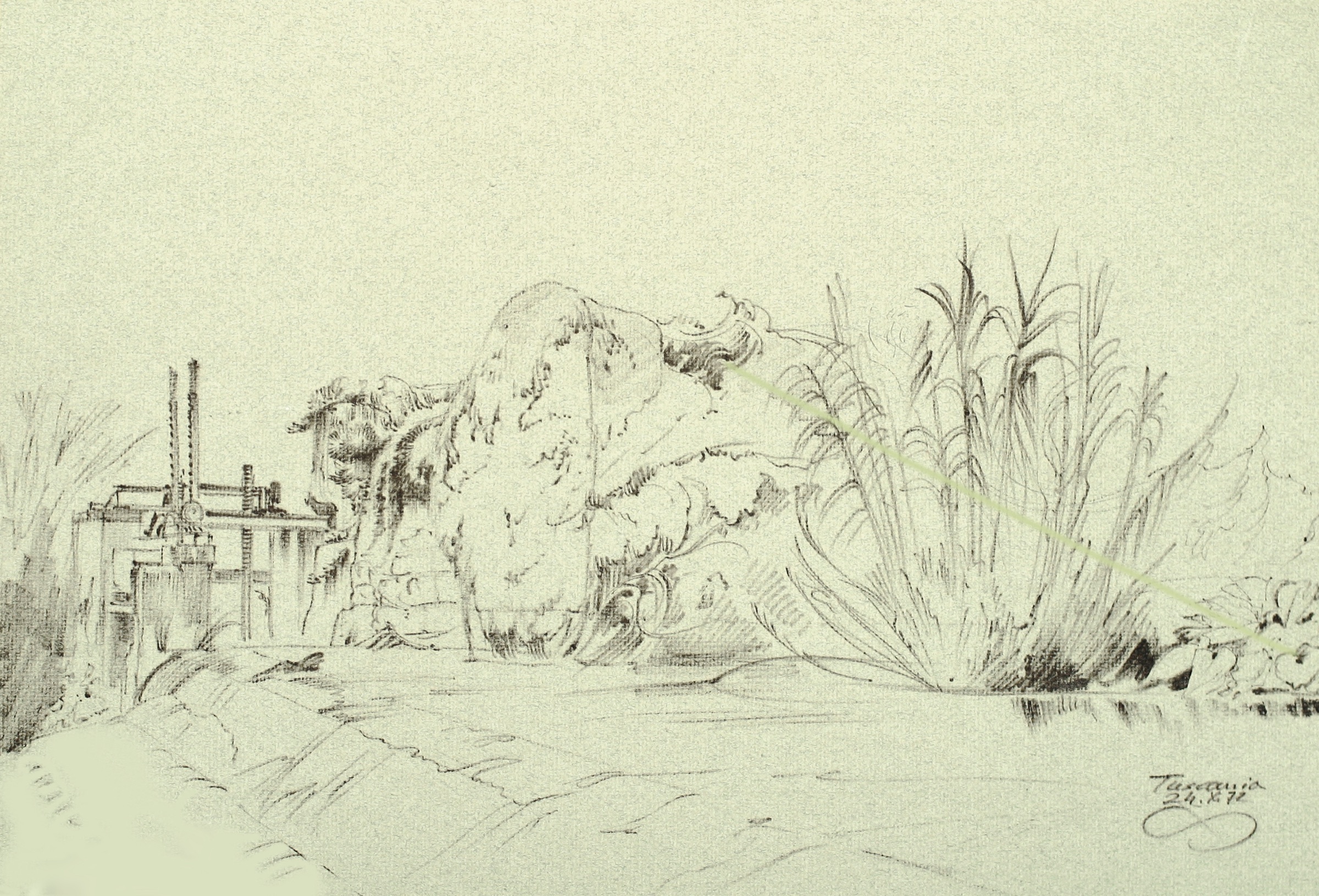 Tuscania, Trough by the Stream