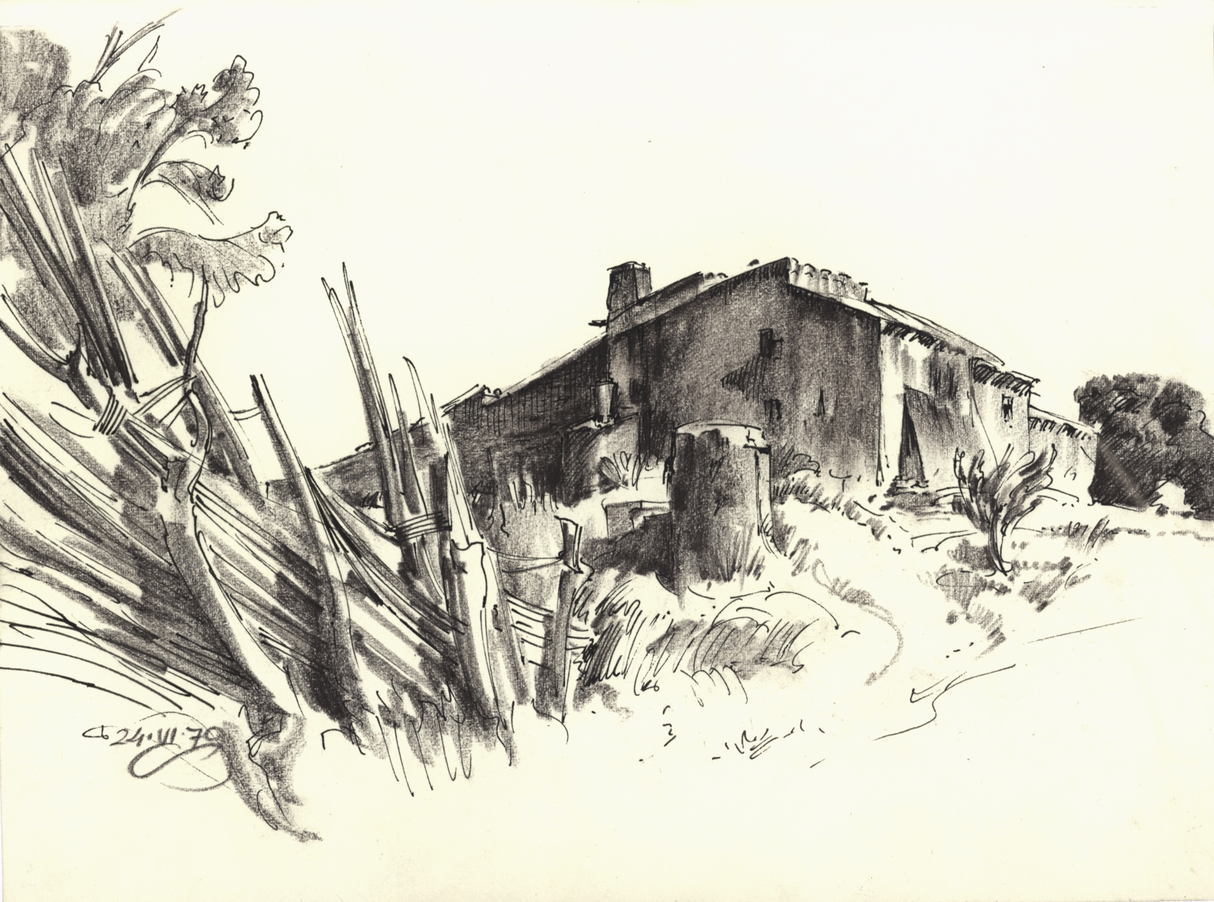 Farmstead with Agave Trunk