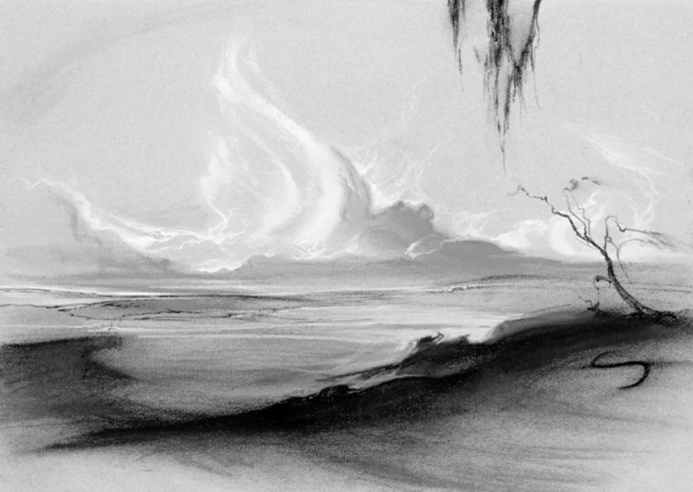 Tree and Cloud
