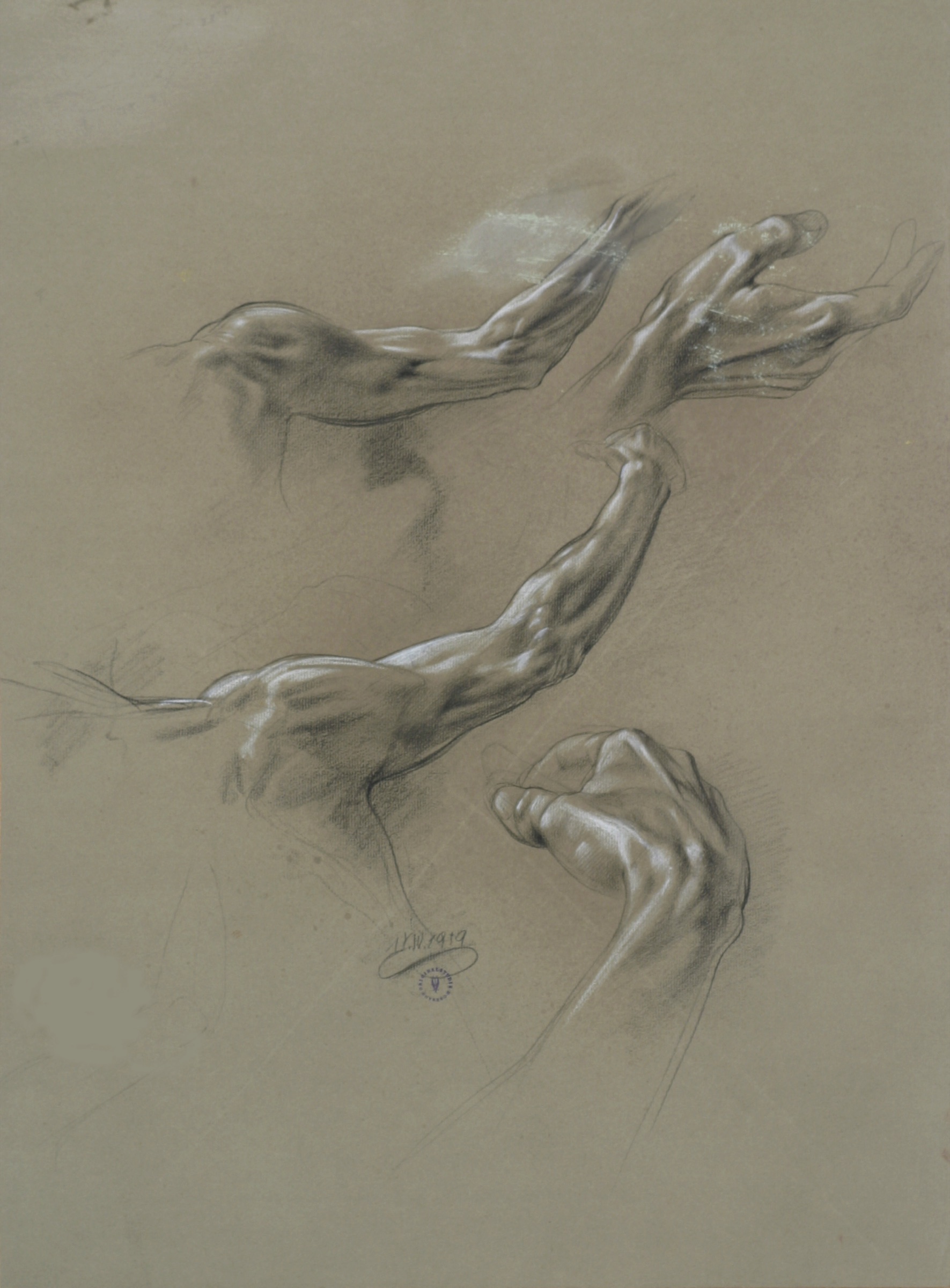 Hand and Arm Studies