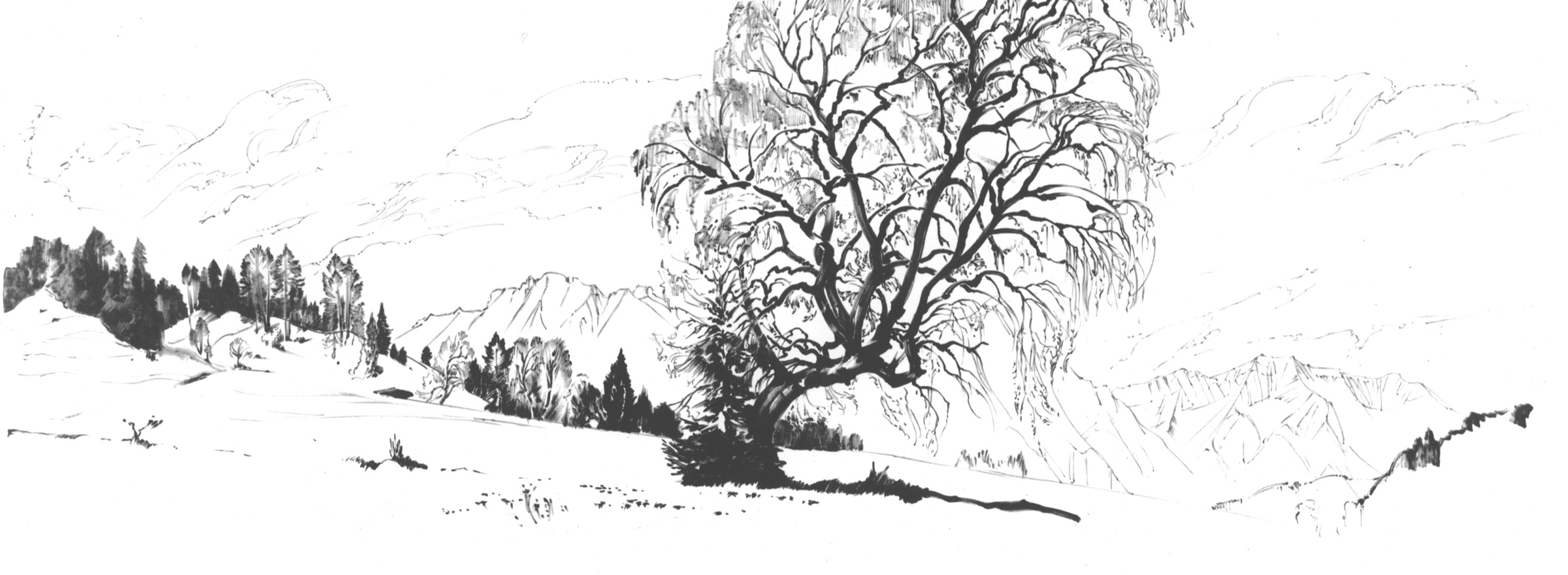 In Leutasch