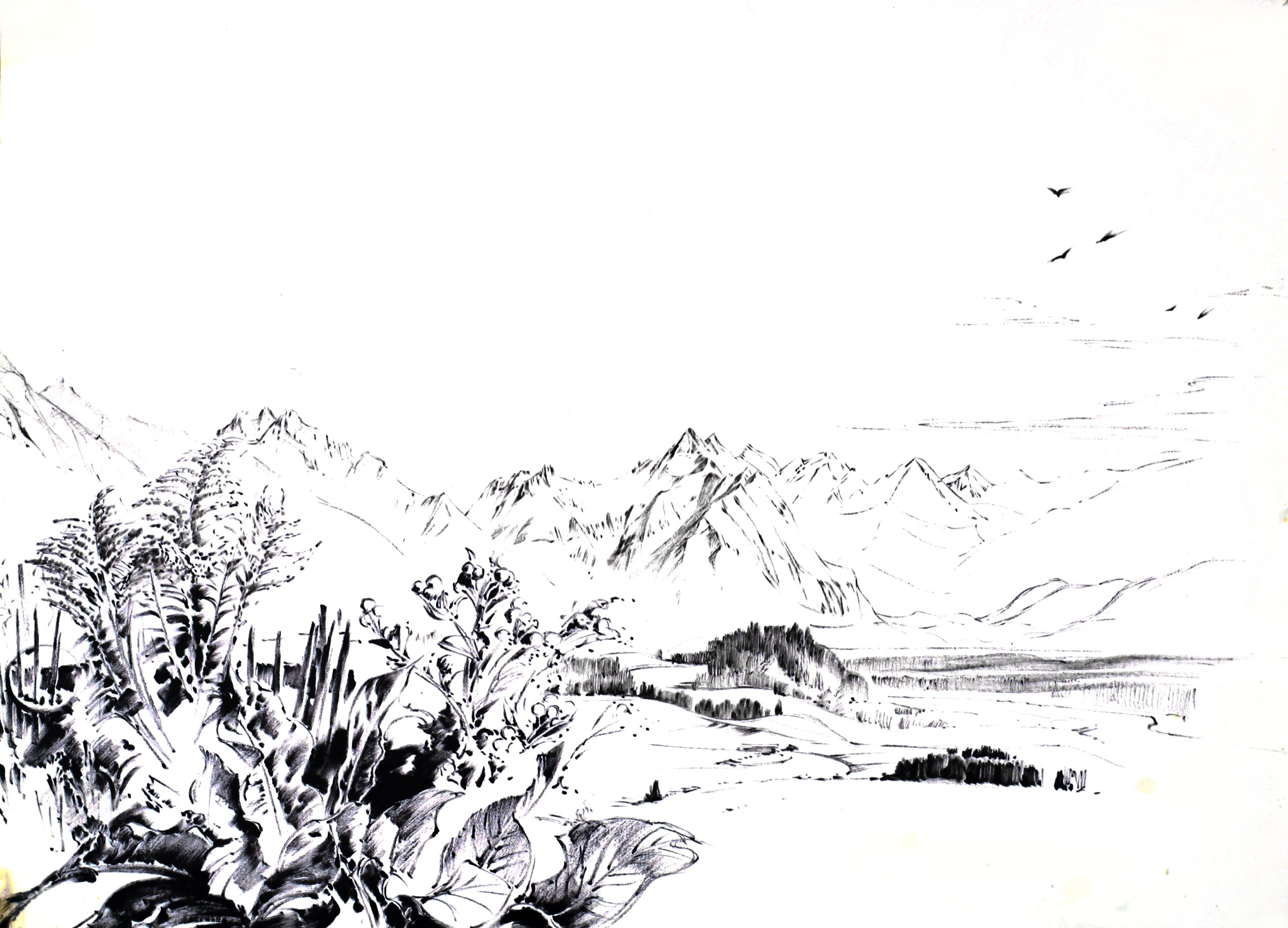 Allgäuer Berge