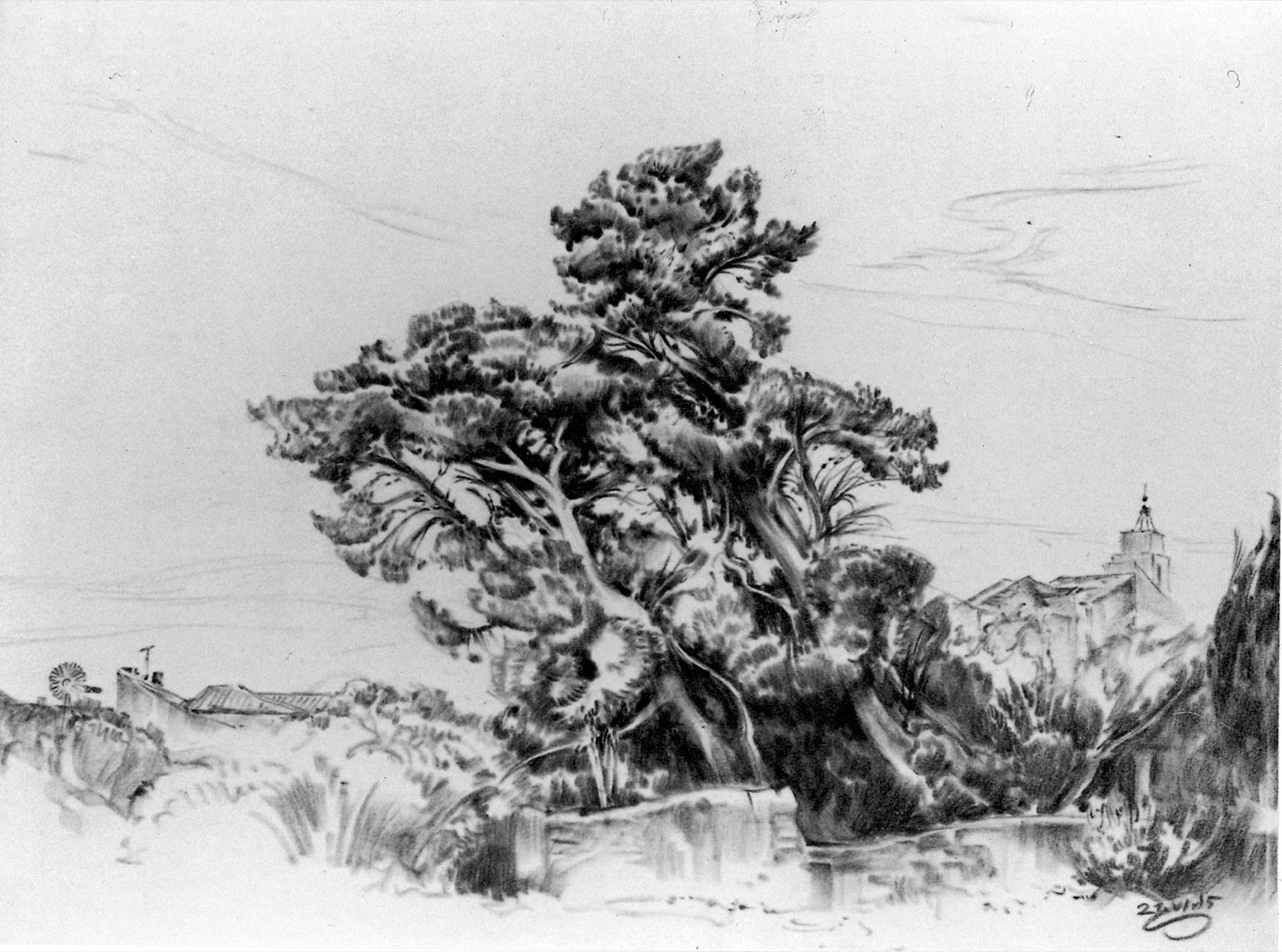 Tree, Village in the Background