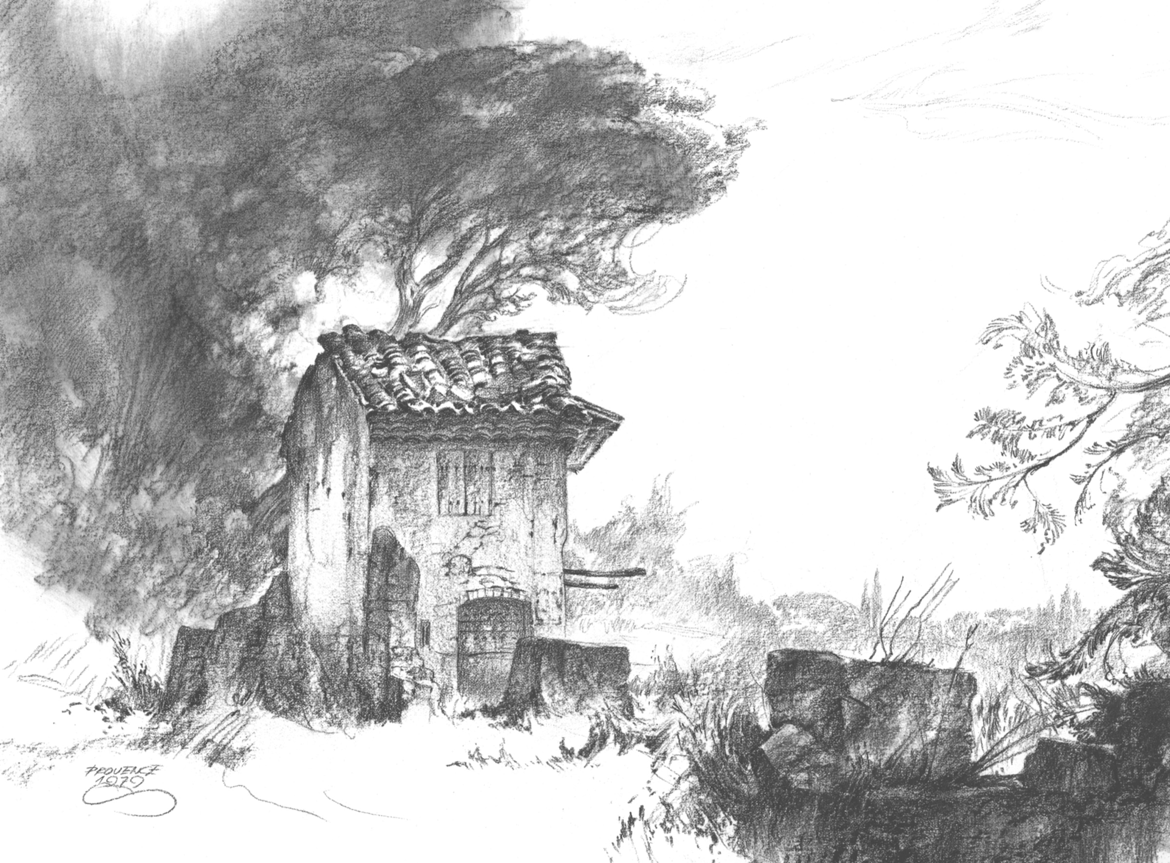 Hut under a Tree