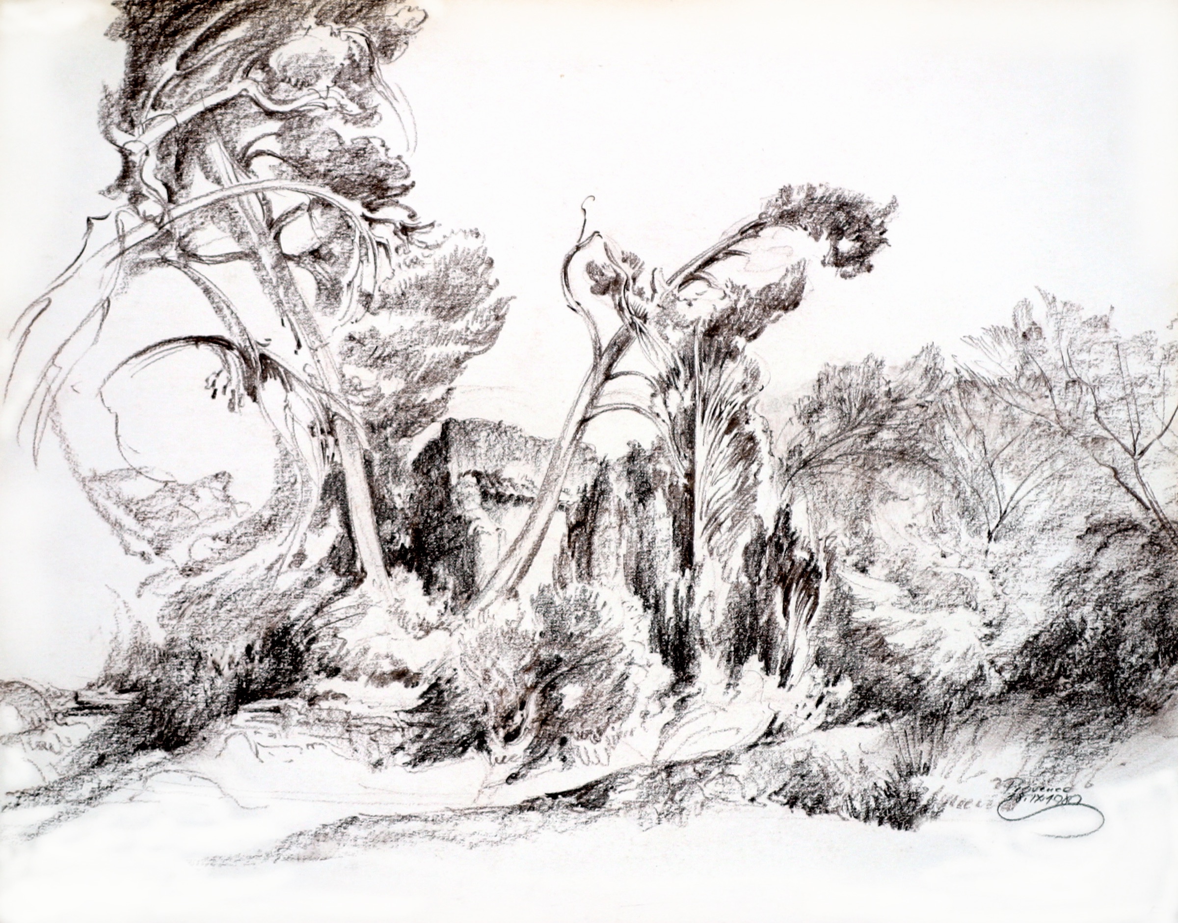 Baumgruppe, Provence