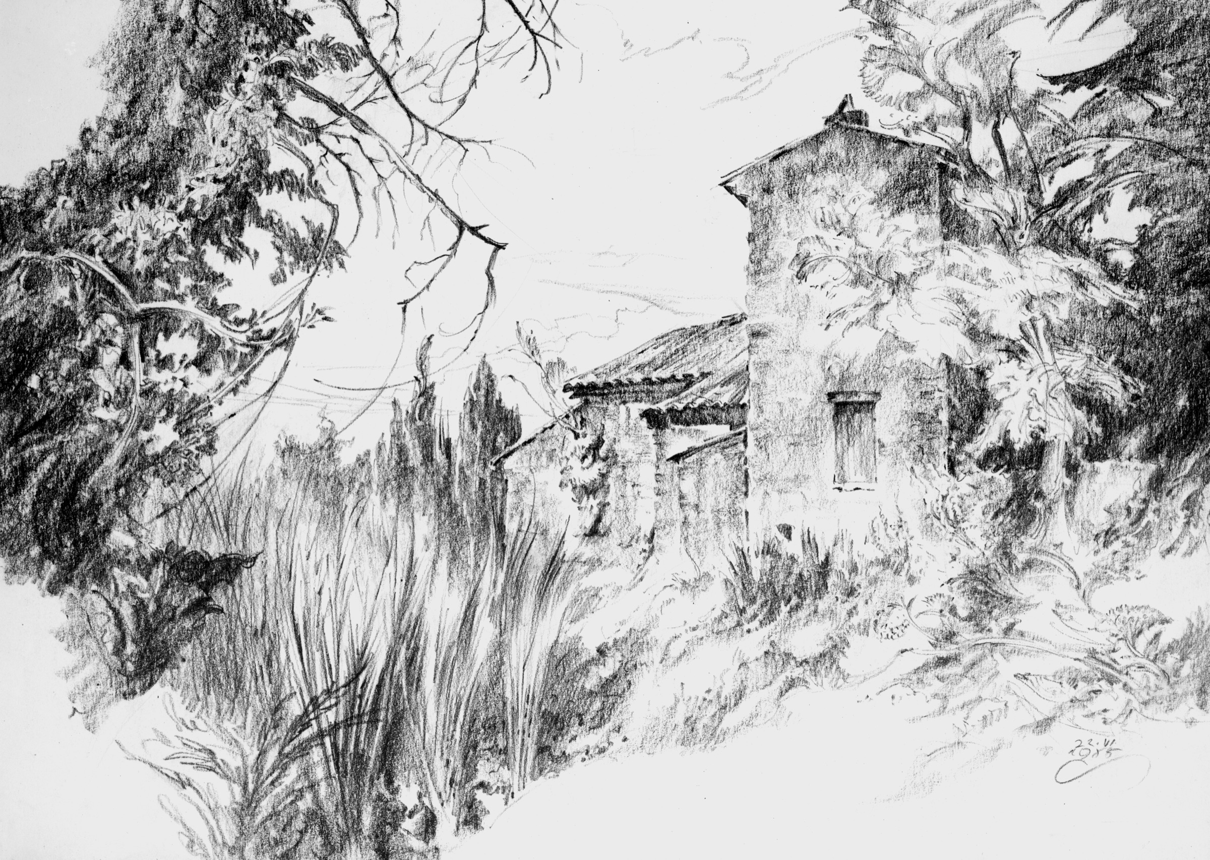 House in the Grove