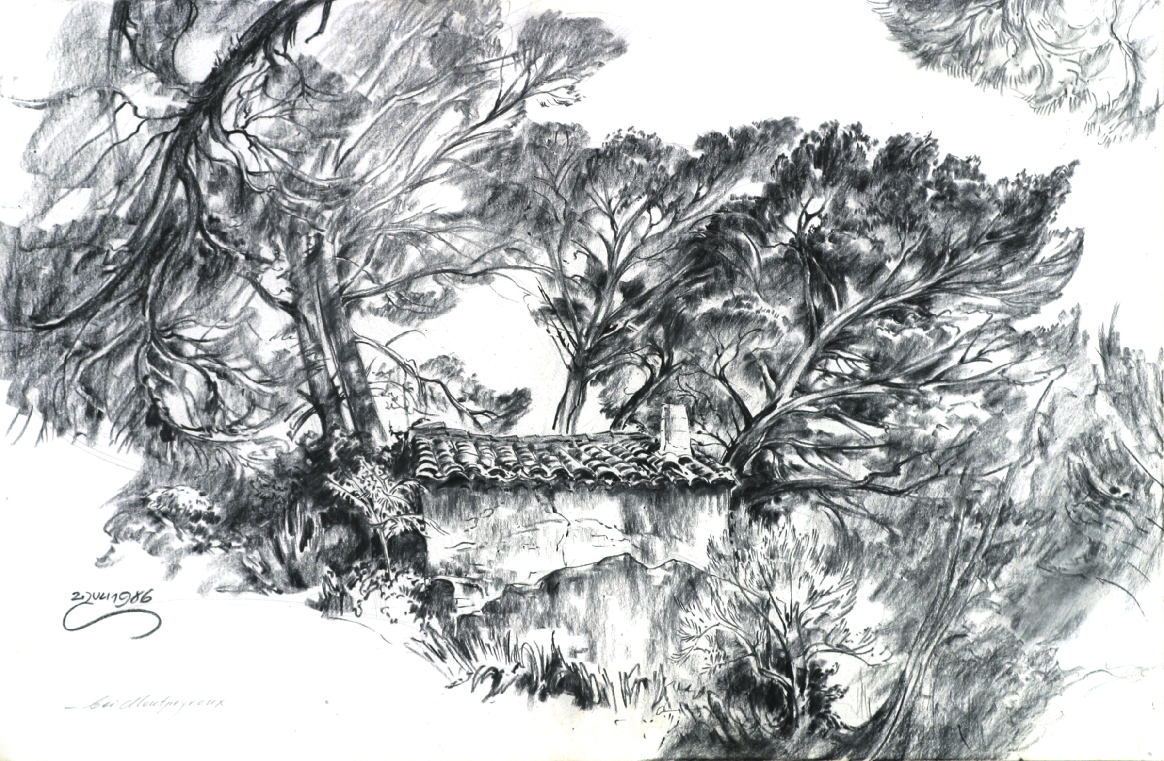 House under Pines
