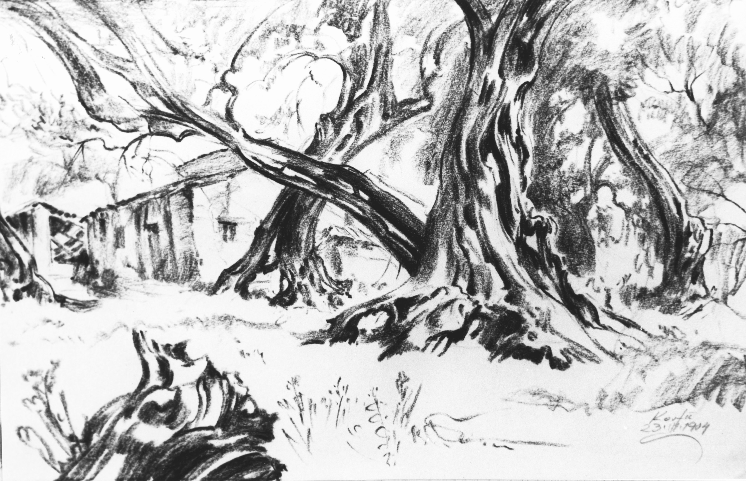 Hut under Olive Trees, 1