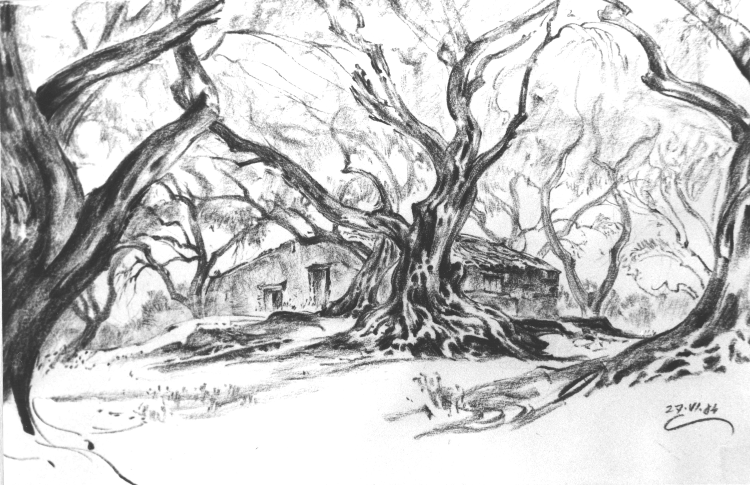 Hut under Olive Trees, 2