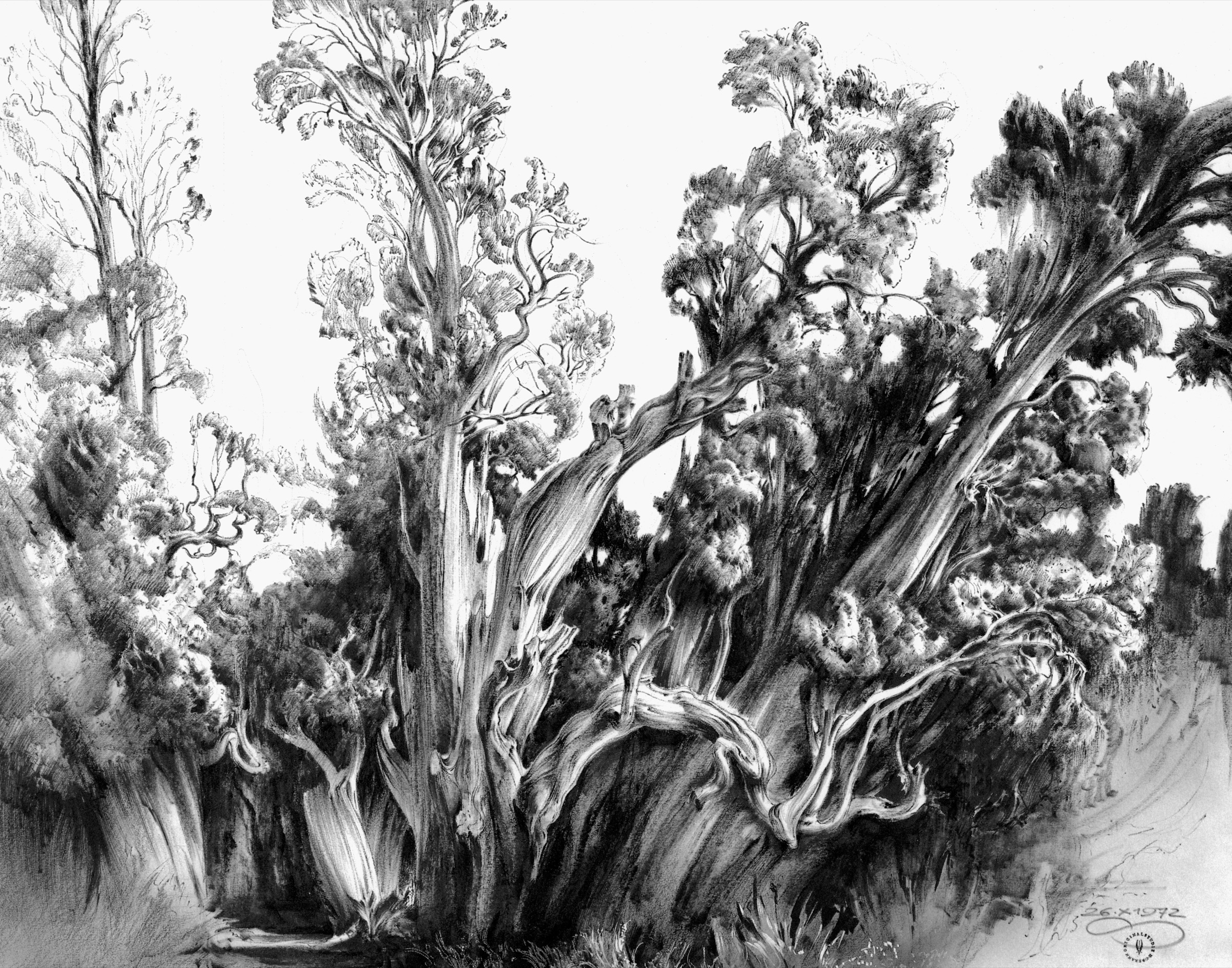 Tivoli, Cypresses near the Villa d'Este, 2nd Version