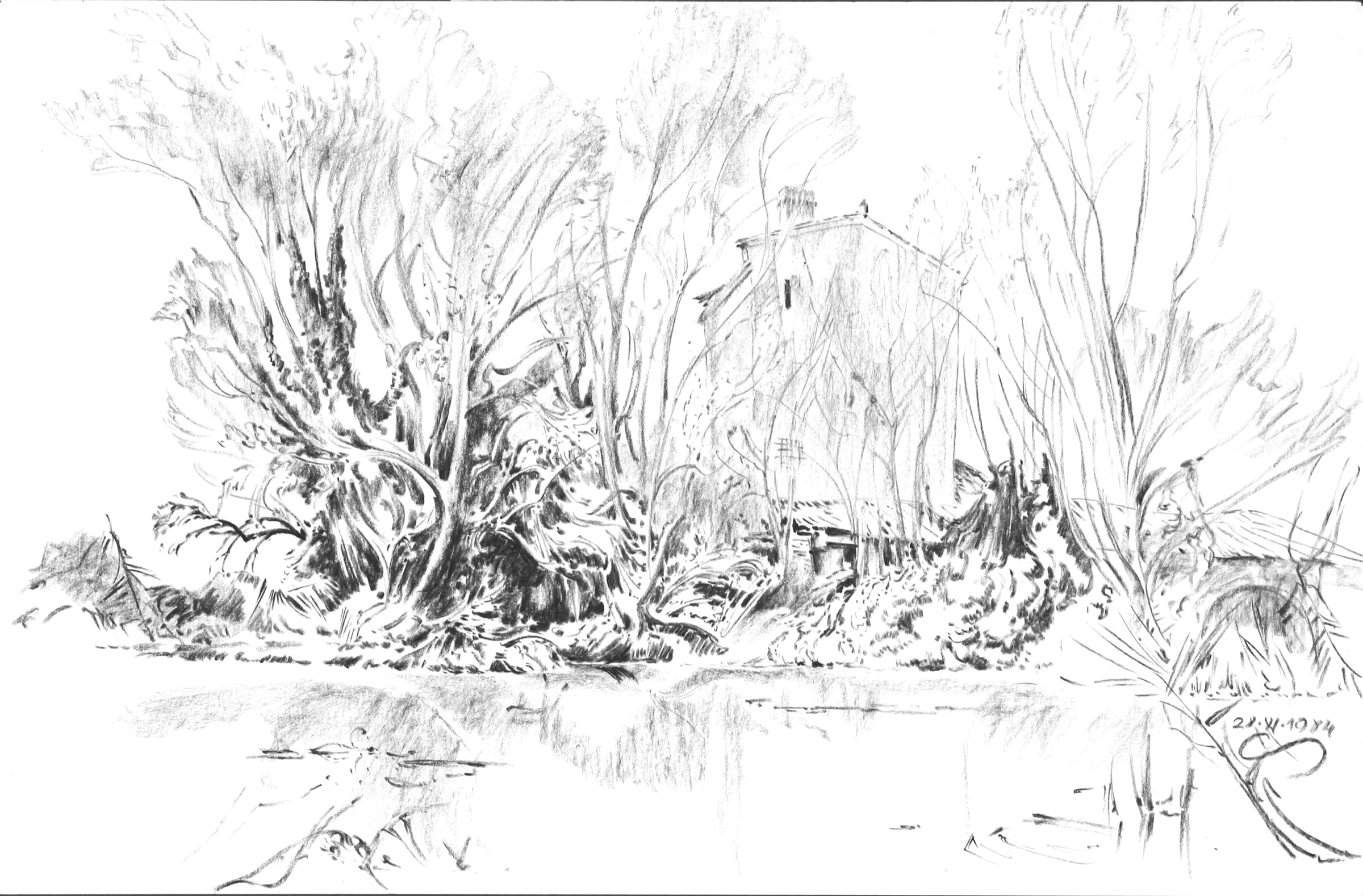 Old House by the Pond