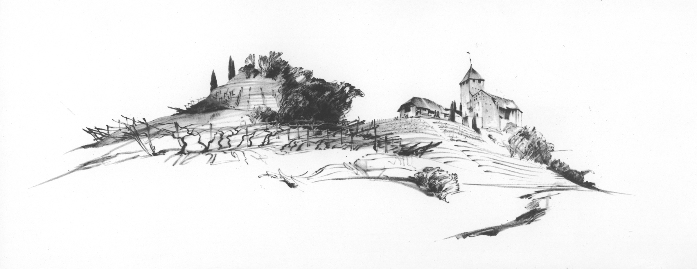 Burg Warth
