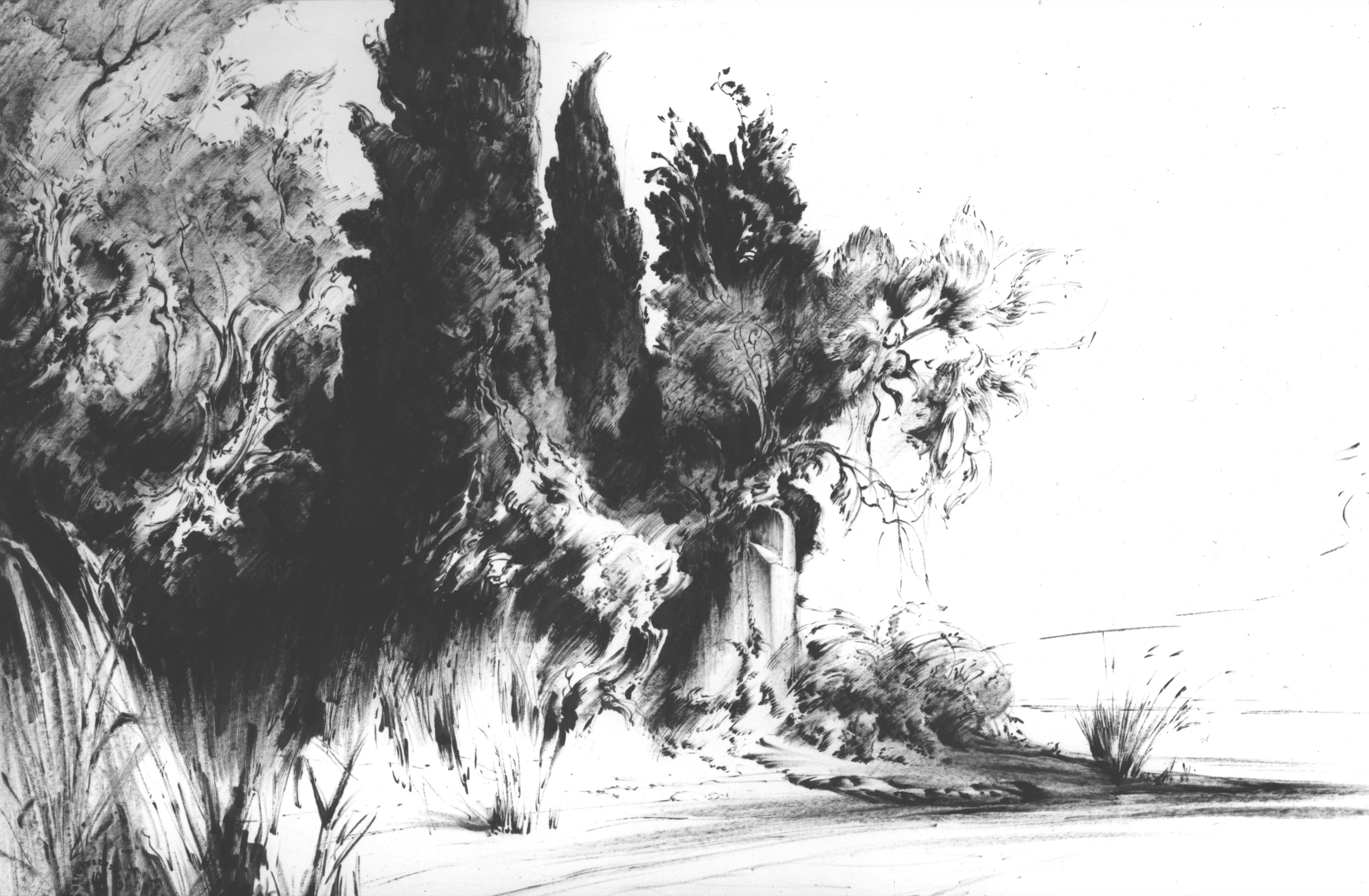 Shrubbery and Cypresses
